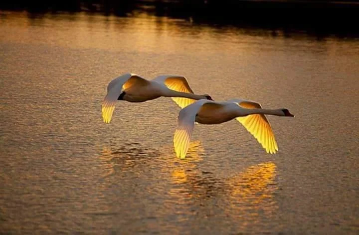 What kind of leader are you as a successful entrepreneur?