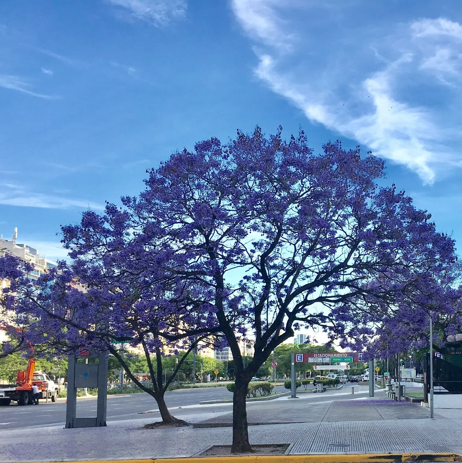 Dear entrepreneur, your role is pivotal right now!