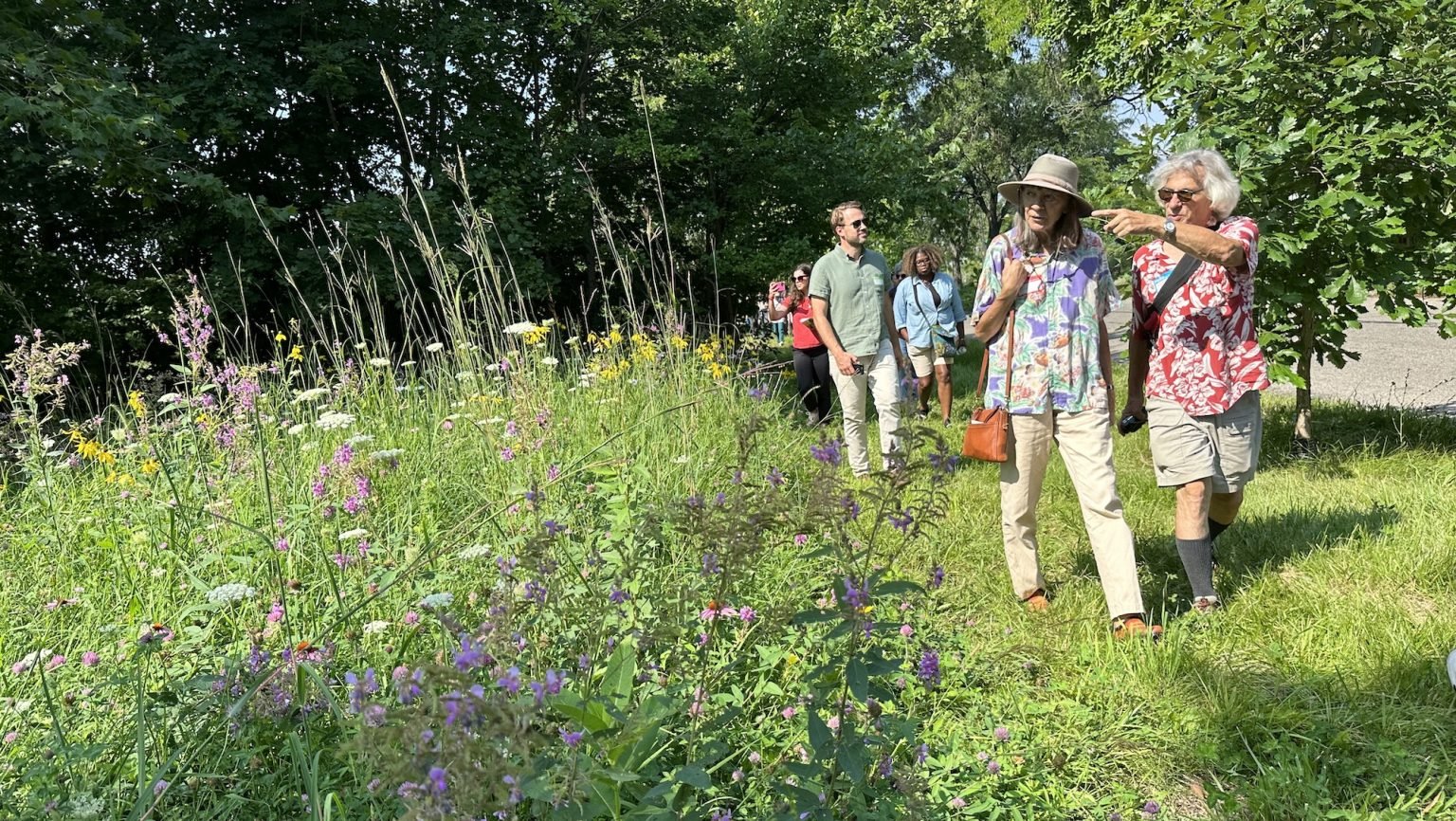 WDET’s The Metro: Nonprofit aims to conserve bird habitats in metro Detroit
