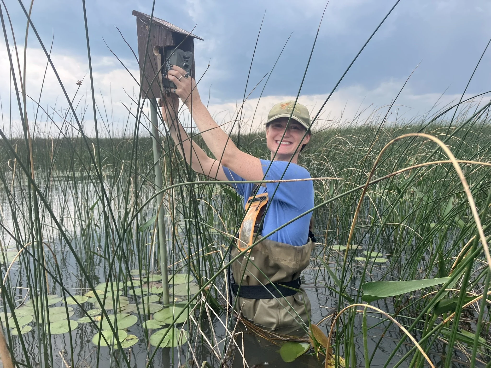Michigan budget adds $2 million to wetlands conservation efforts