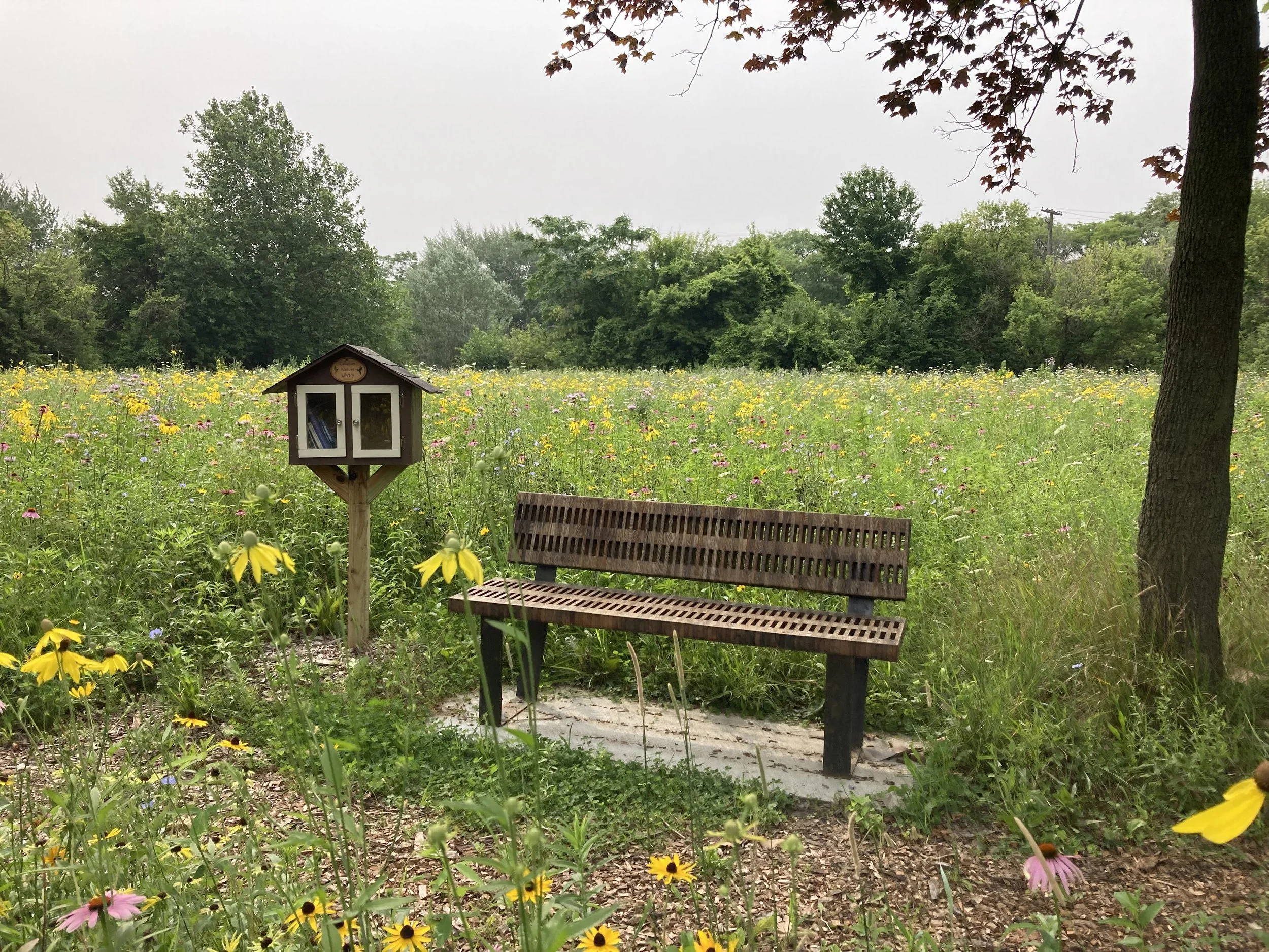 Callahan Bench and Library.jpg