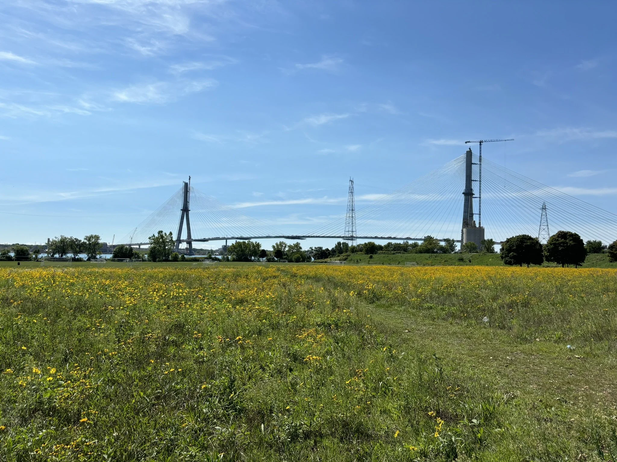 IMG_2296.JPEG