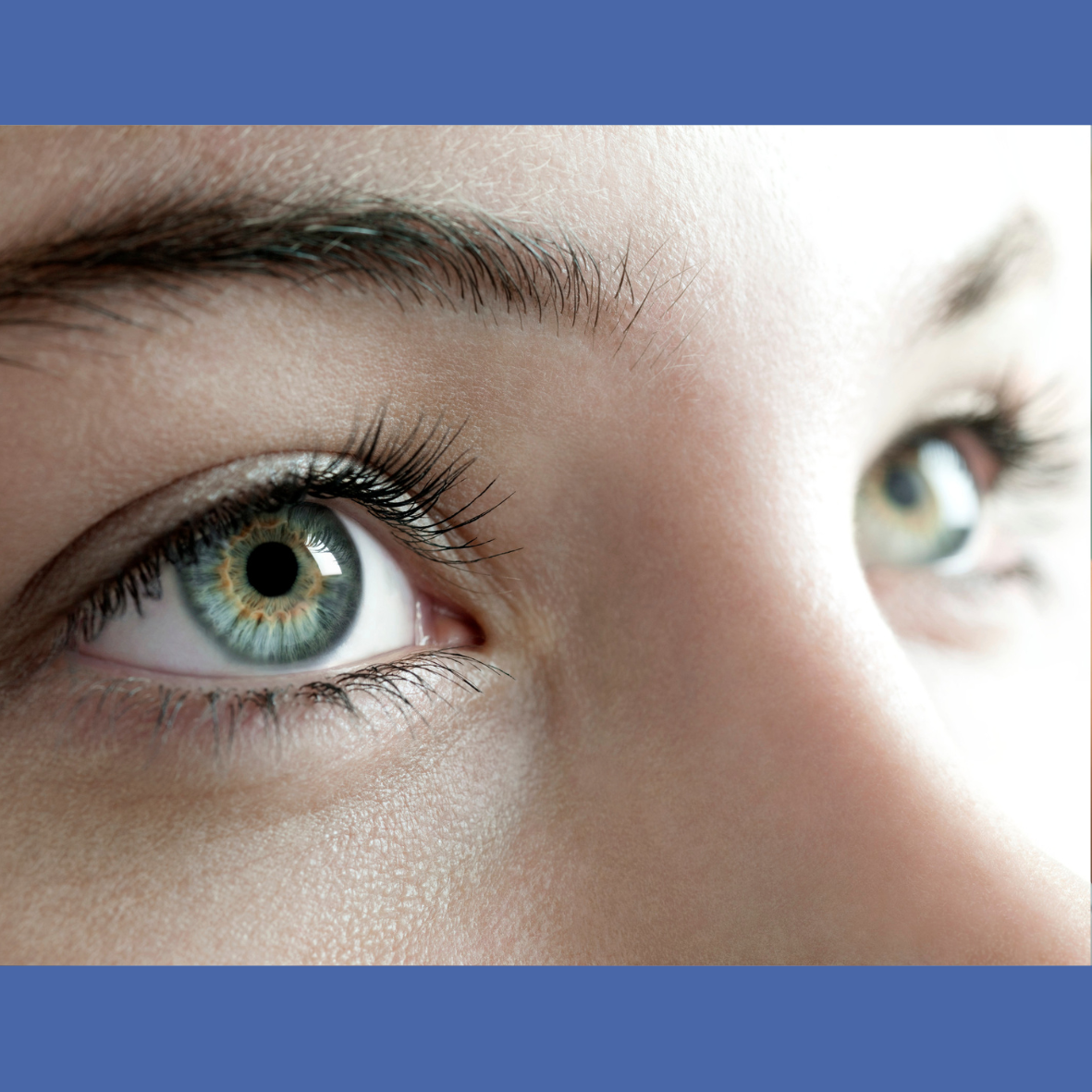 eyes.png