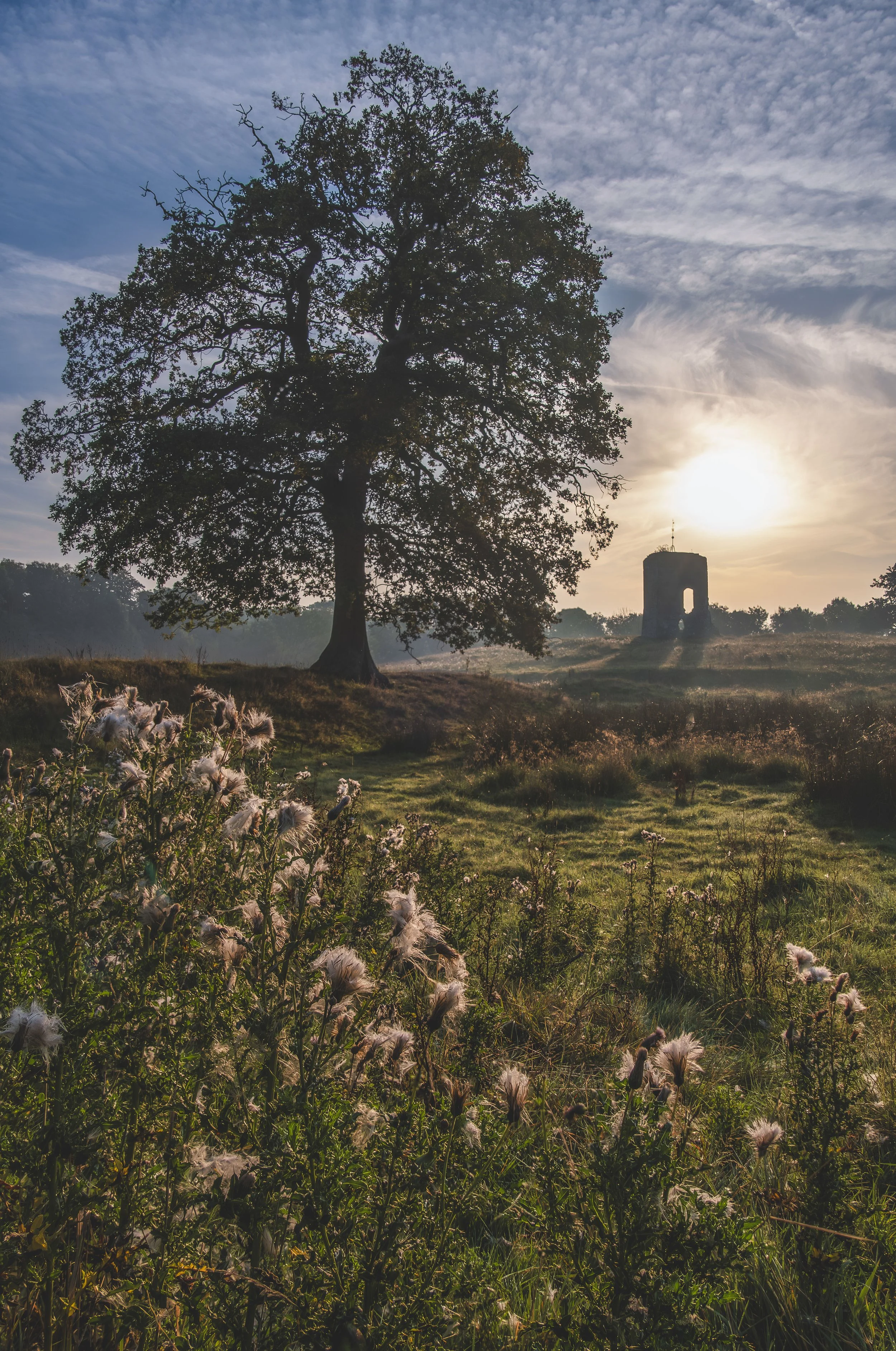 DSCF6087-Enhanced-NR-Edit TIFF.JPG