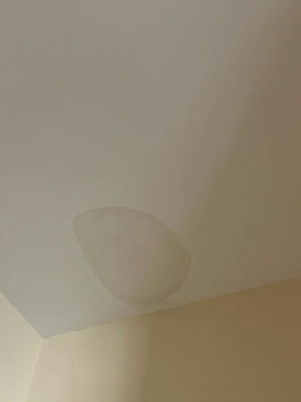 When Should a Water Damaged Ceiling Be Removed vs. Just Painted?