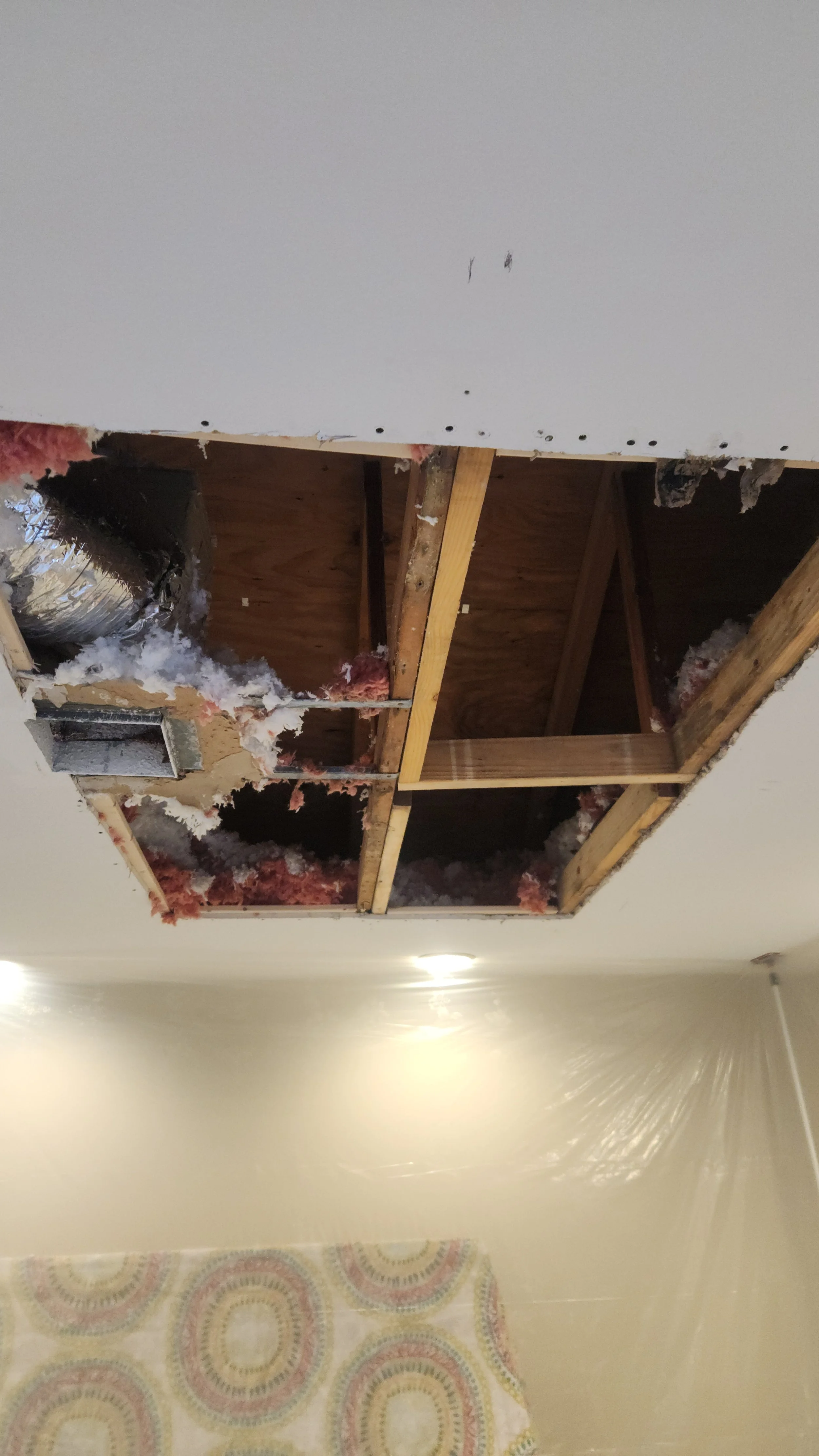 ceilingholeleak.jpg