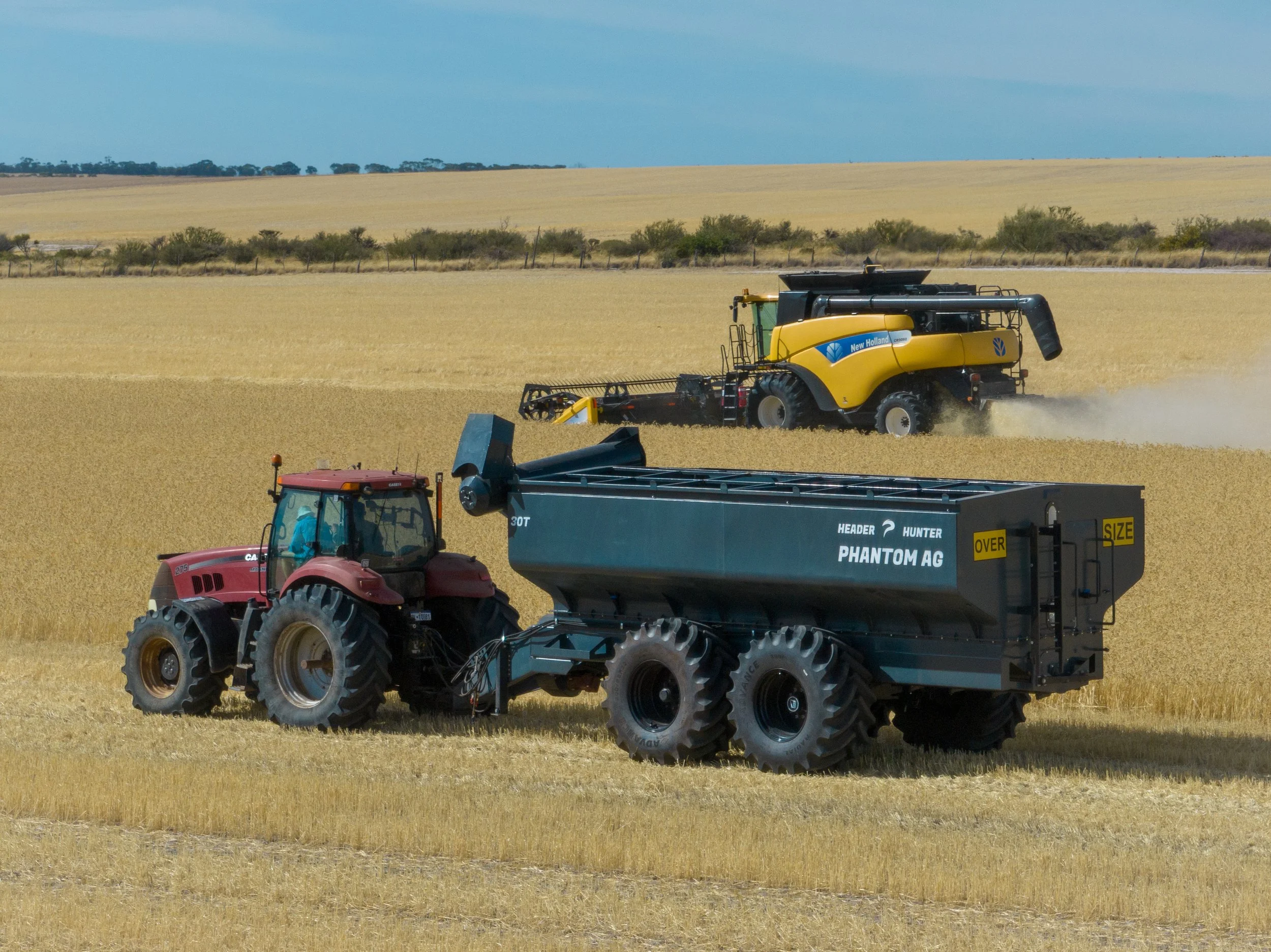 Whittingtons chaser-17.jpg