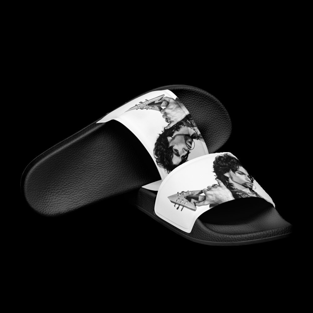Prince slides2.jpeg