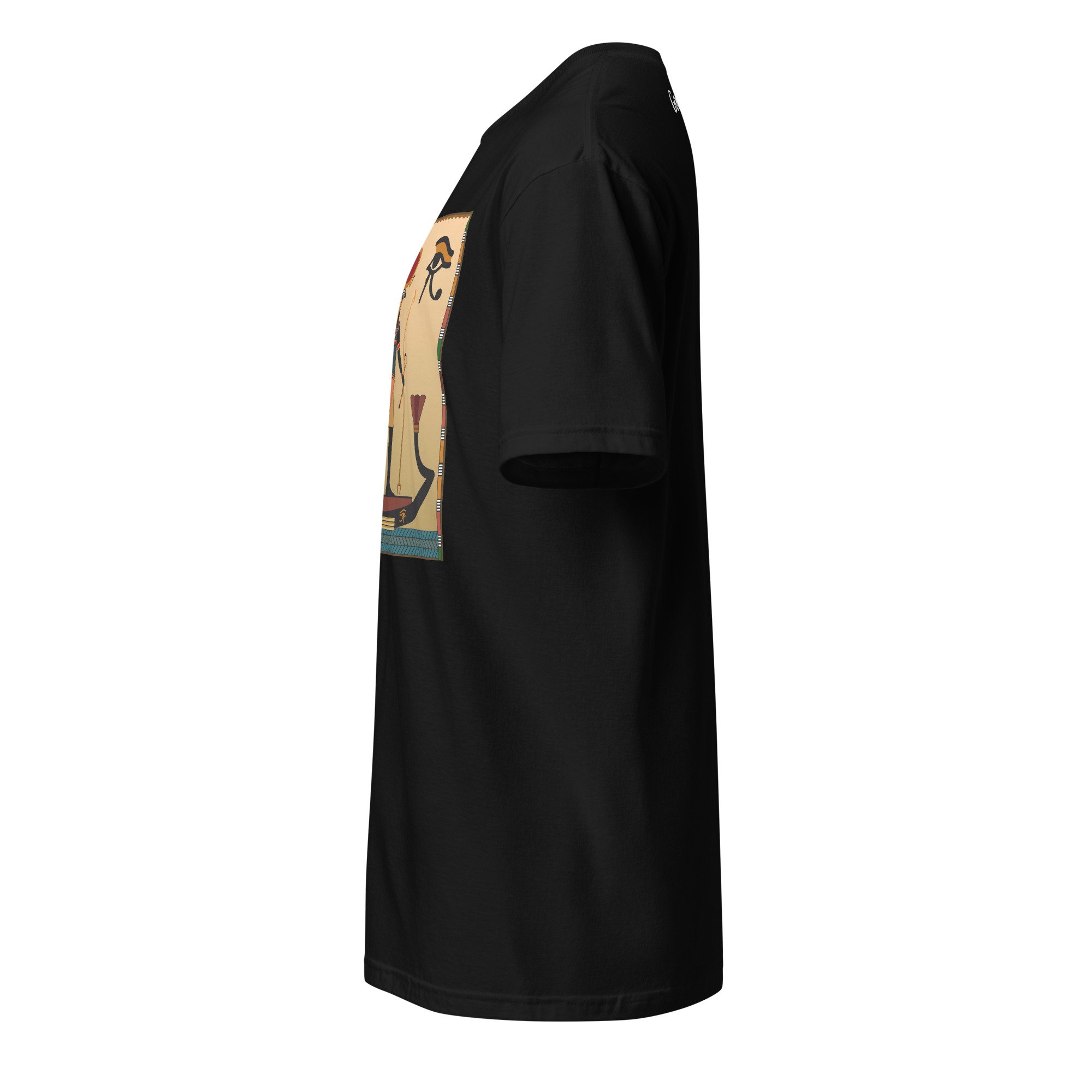 unisex-basic-softstyle-t-shirt-black-left-68726b690ac86.jpg