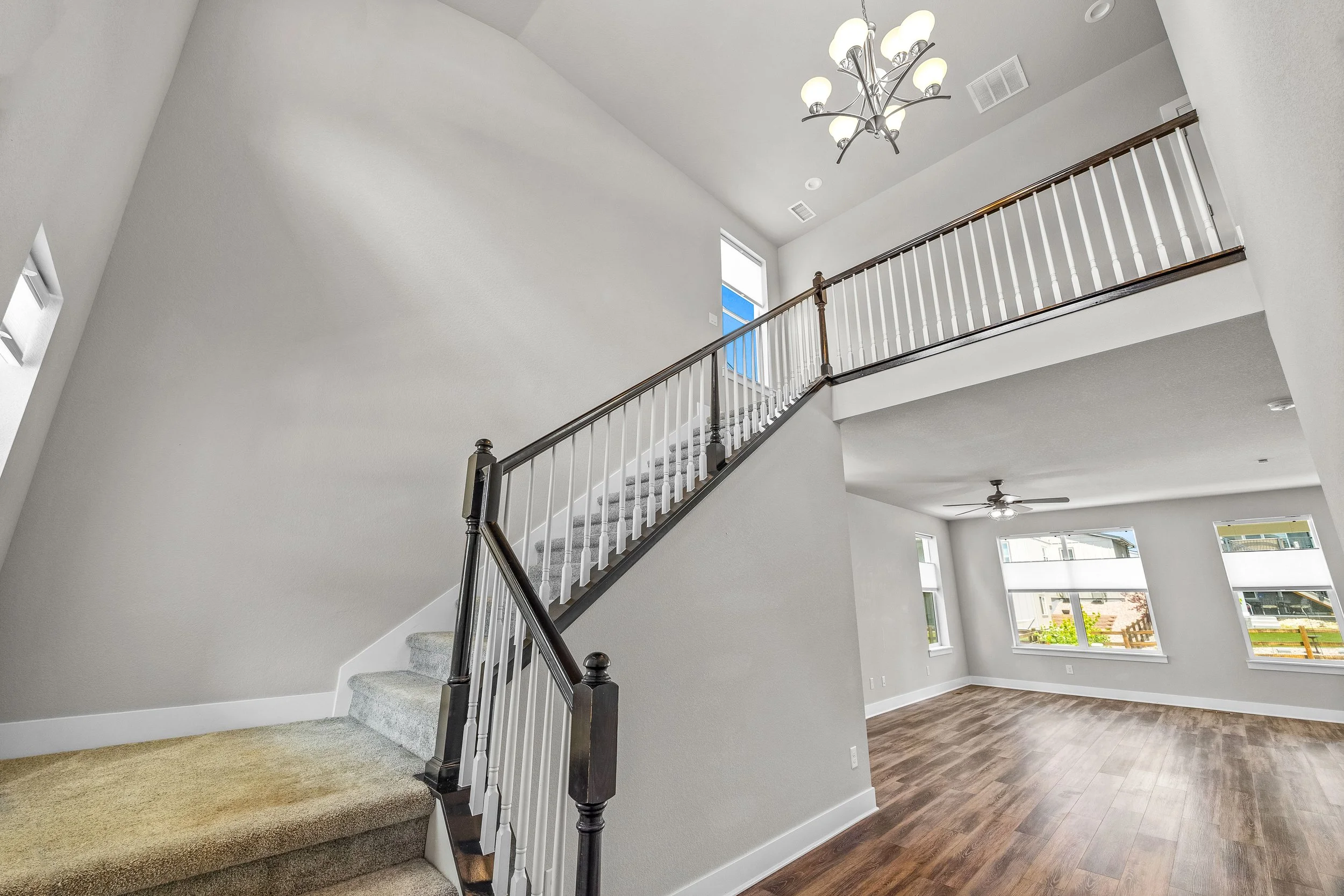 199 Simmental-15.jpg