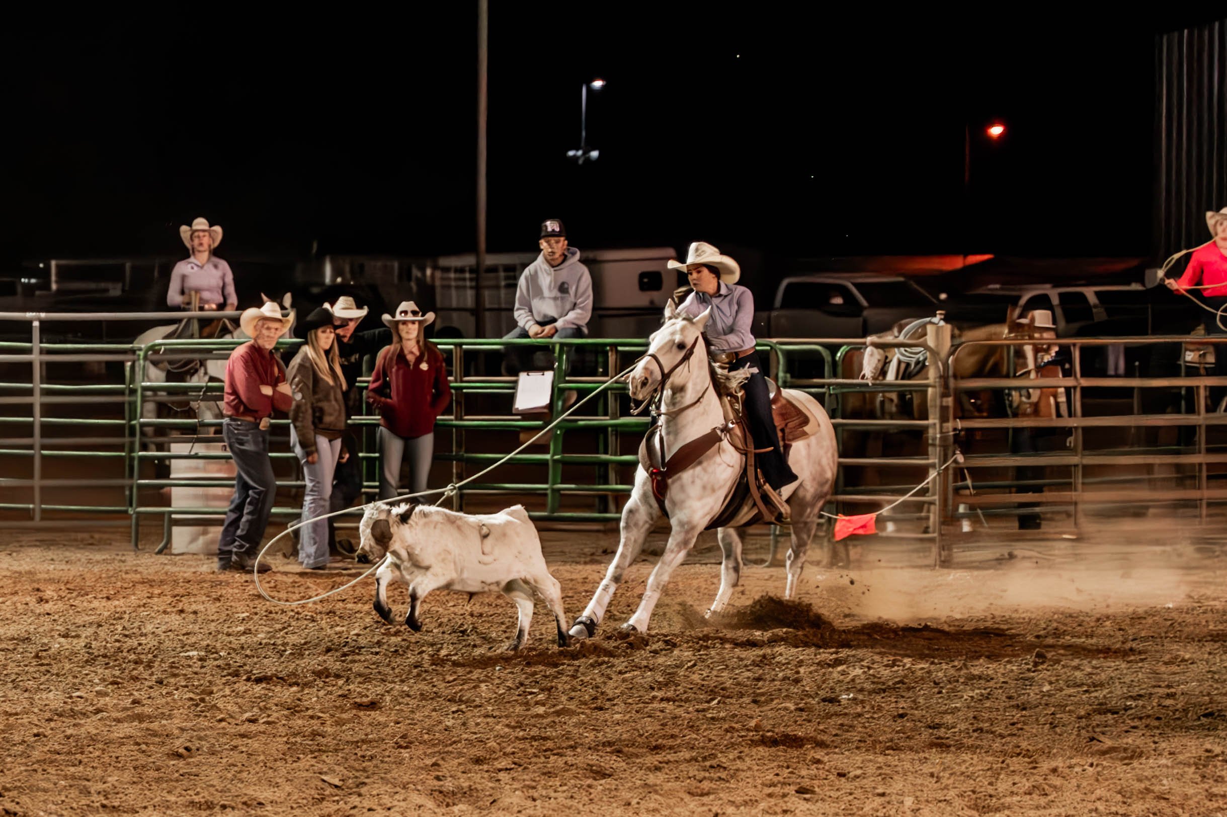 Rodeo_Bull_Breakaway_edit_9084-Enhanced-NR.JPG