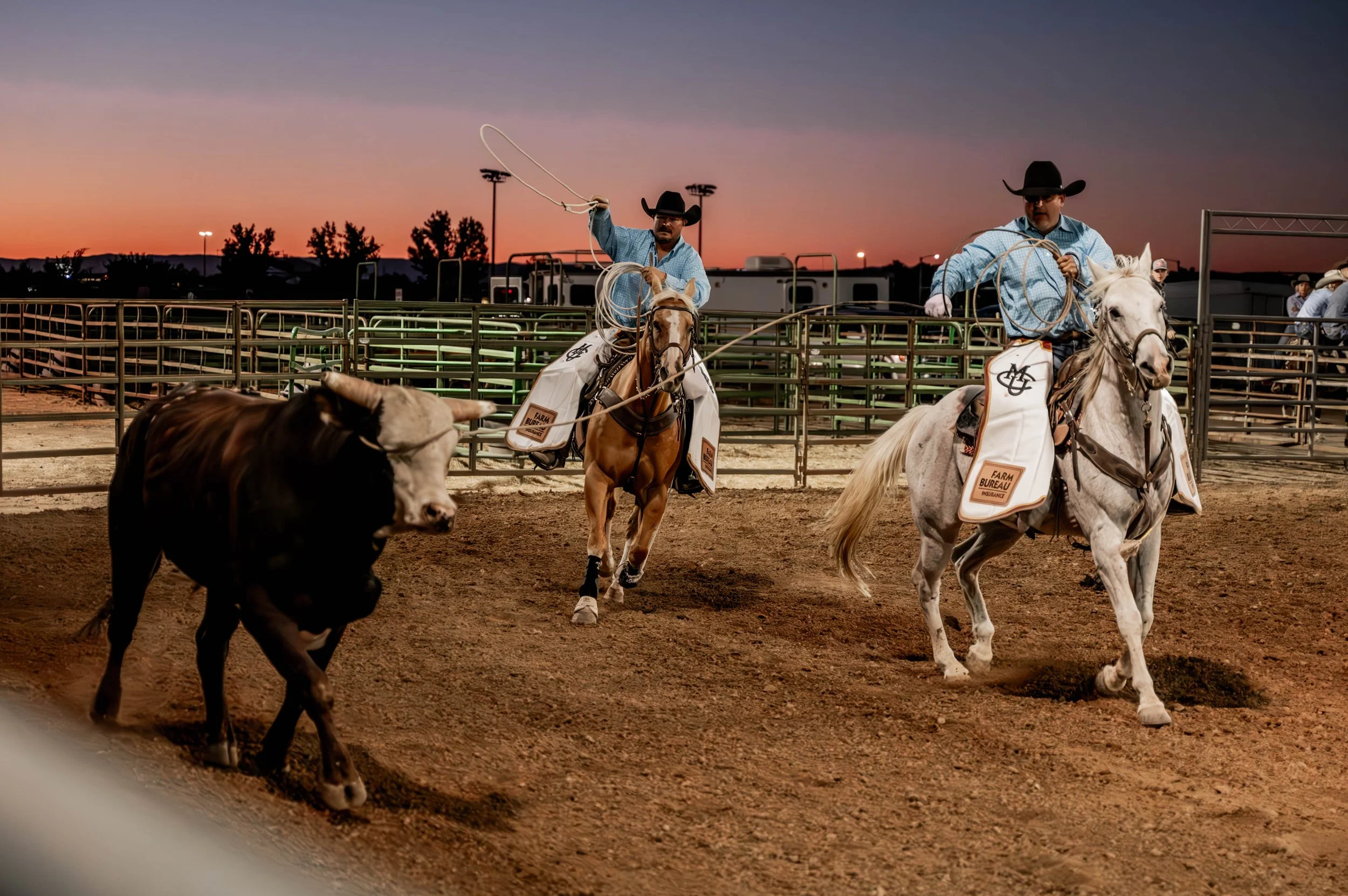 Rodeo_Bull_Breakaway_edit_8622-Enhanced-NR.JPG