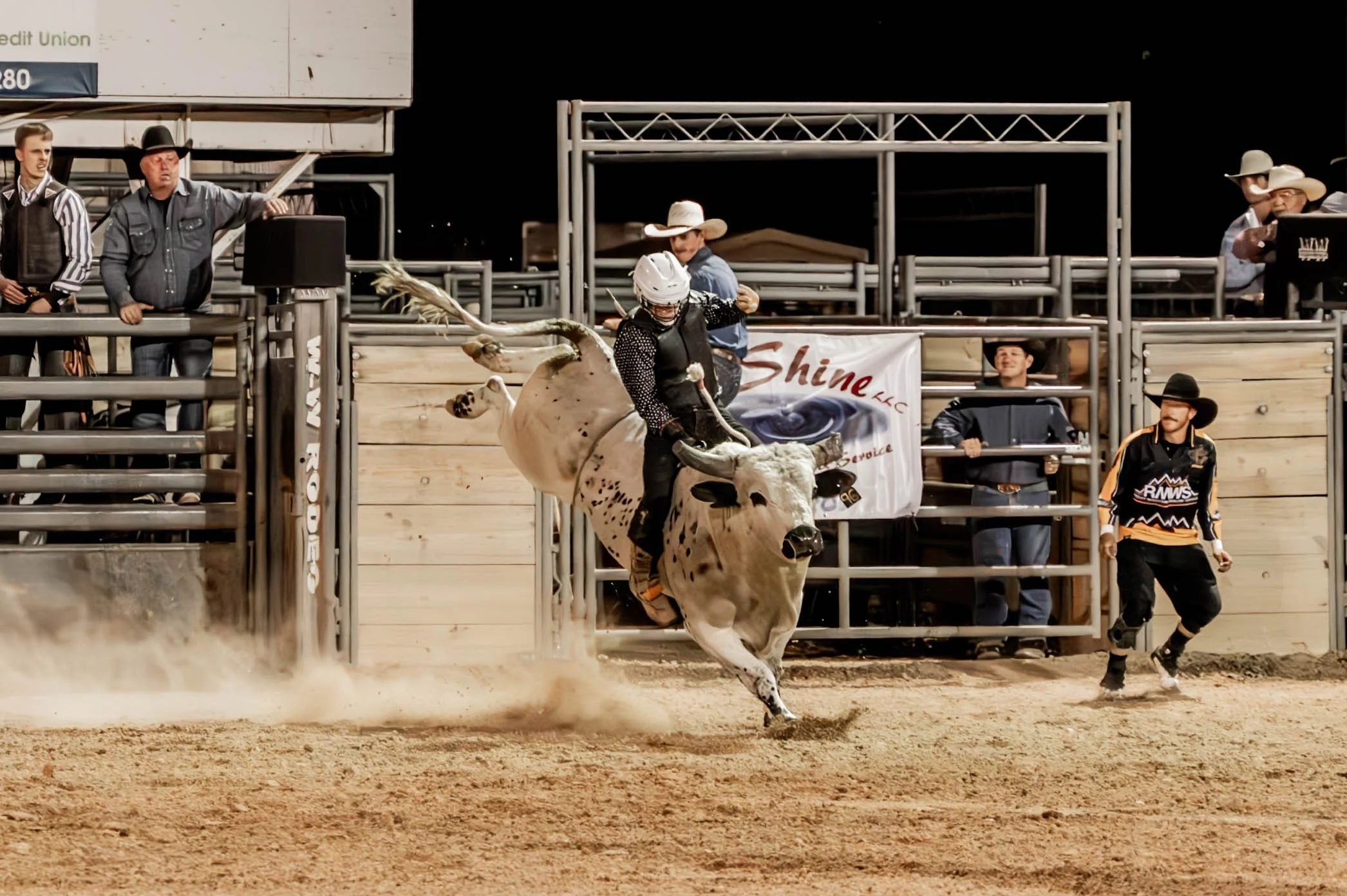 Rodeo_Bull_Breakaway_edit_8761-Enhanced-NR.JPG