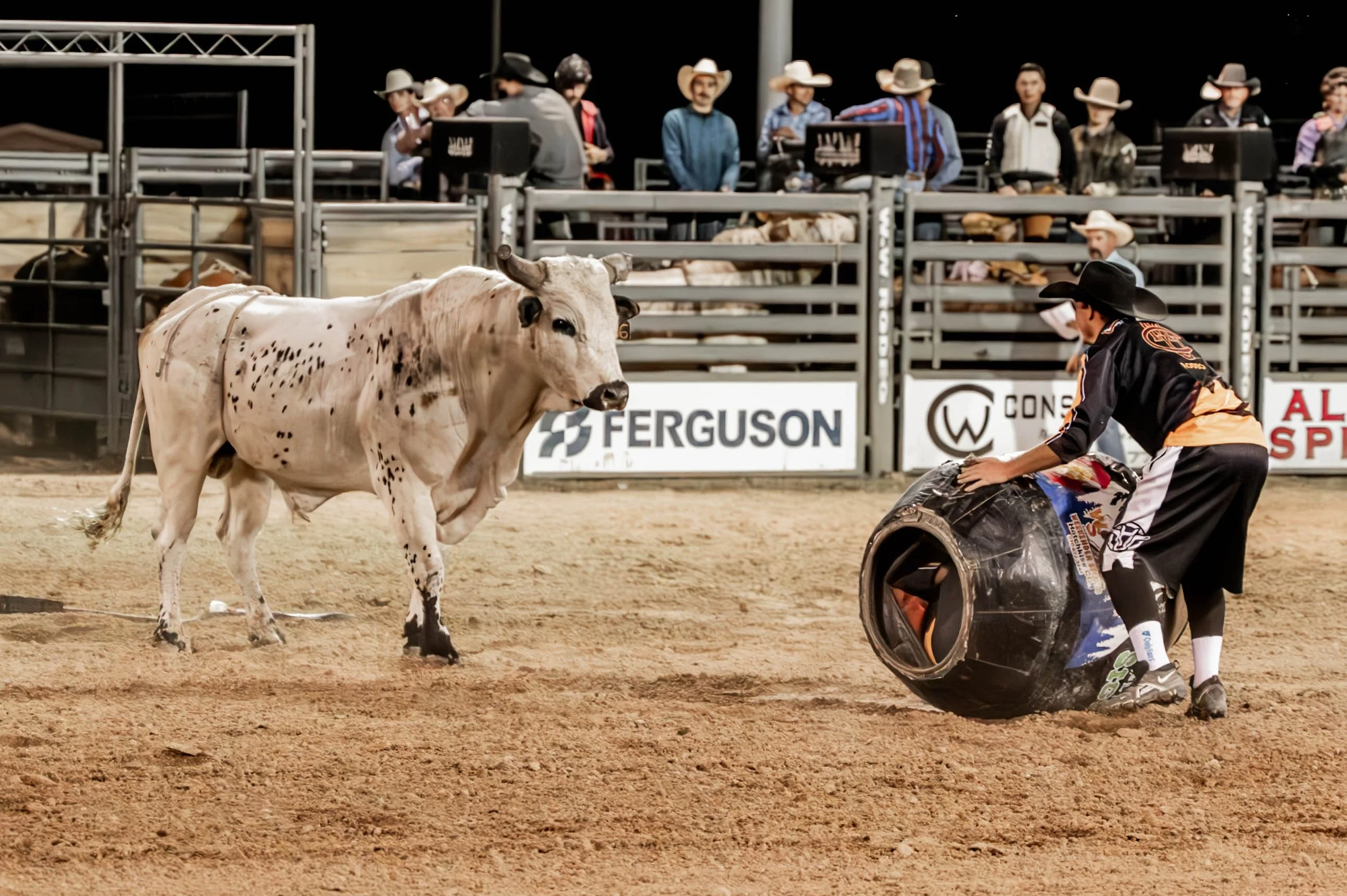 Rodeo_Bull_Breakaway_edit_8802-Enhanced-NR.JPG