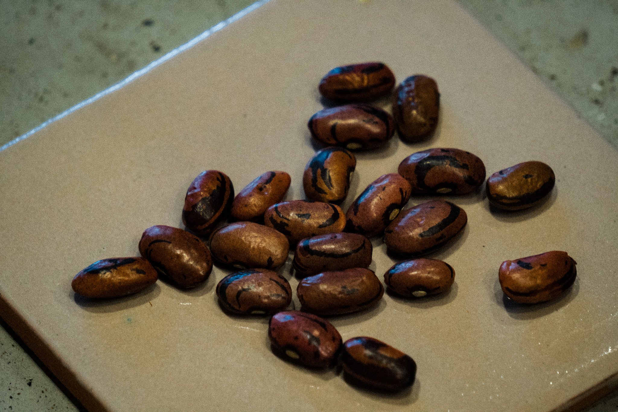 Este Beans