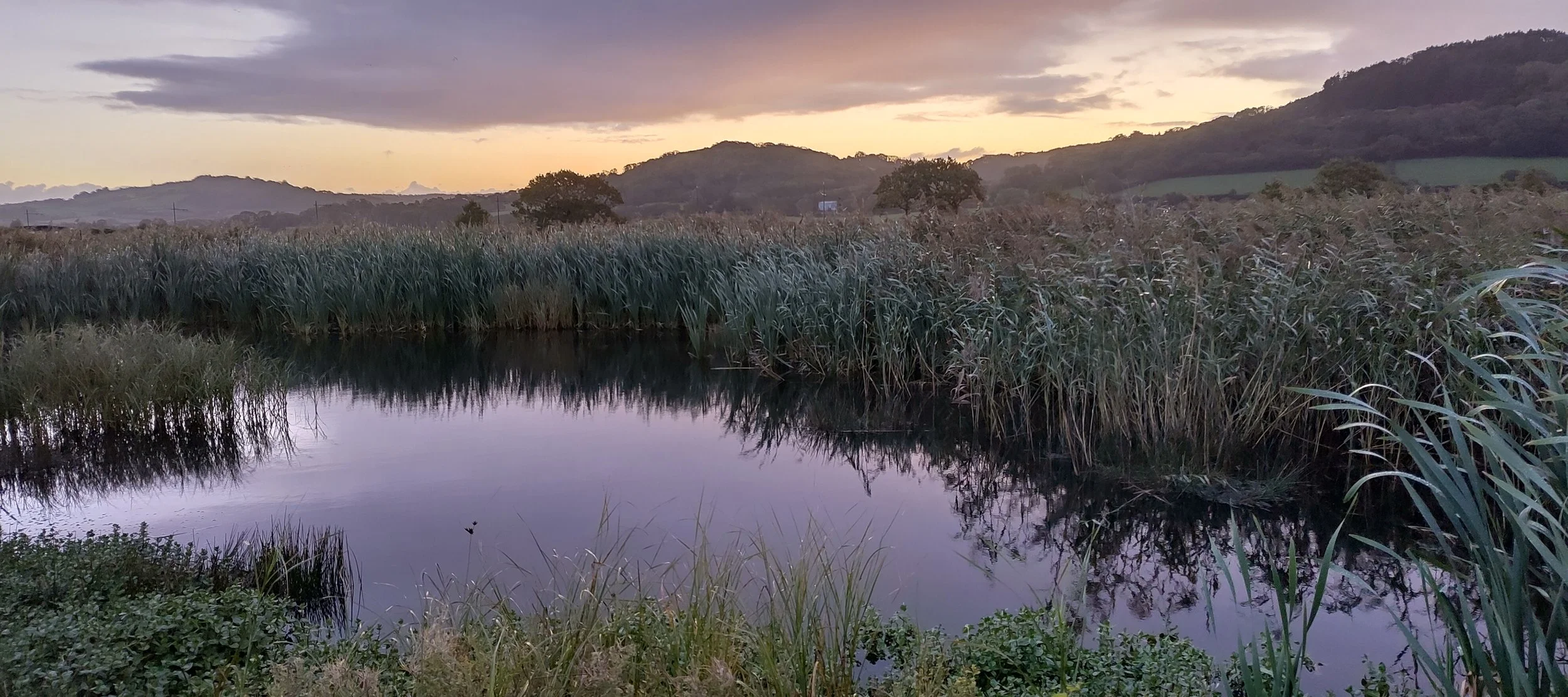Seaton Wetlands