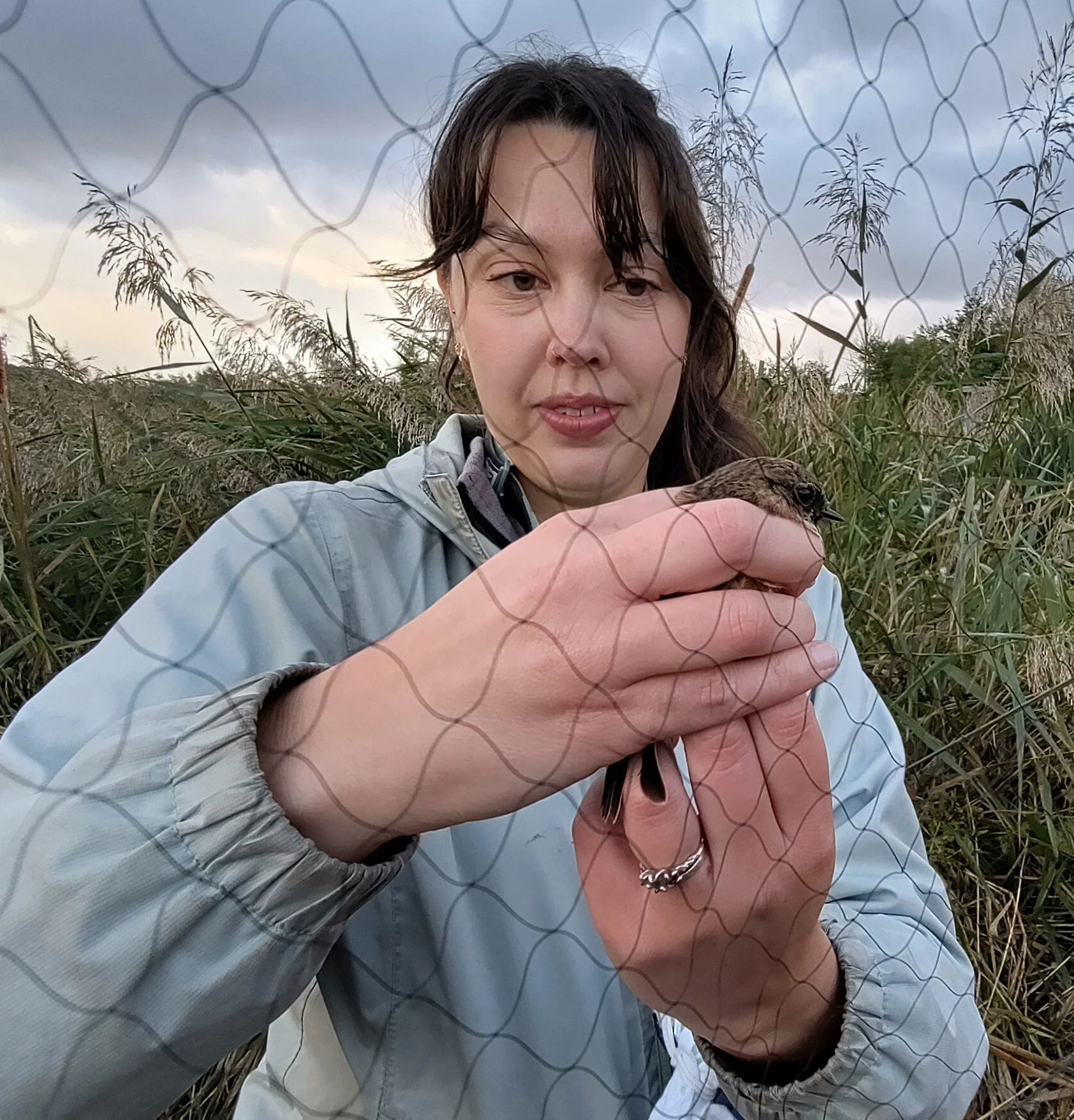 Rescuing bird