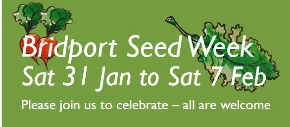 Seed Week Bridport