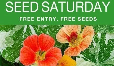 Seed Saturday Lyme