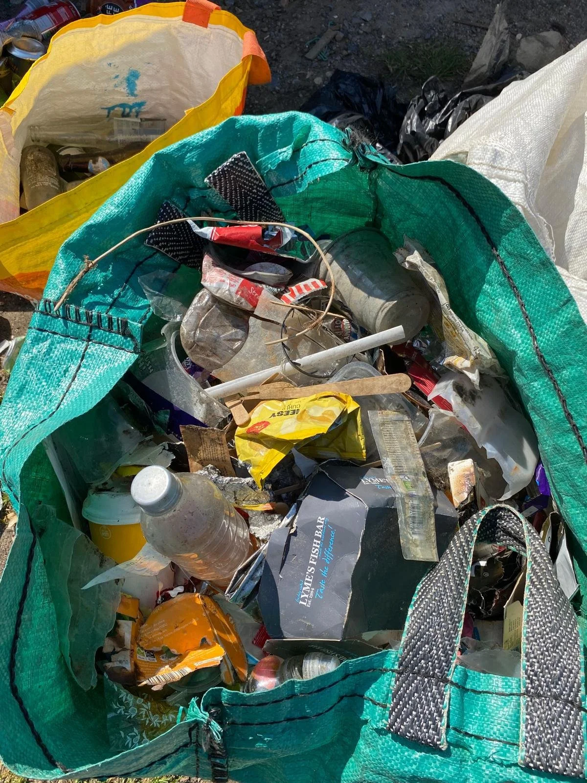 LYME REGIS LITTER PICK