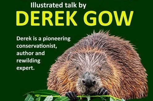 BEAVERS - A talk by DEREK GOW