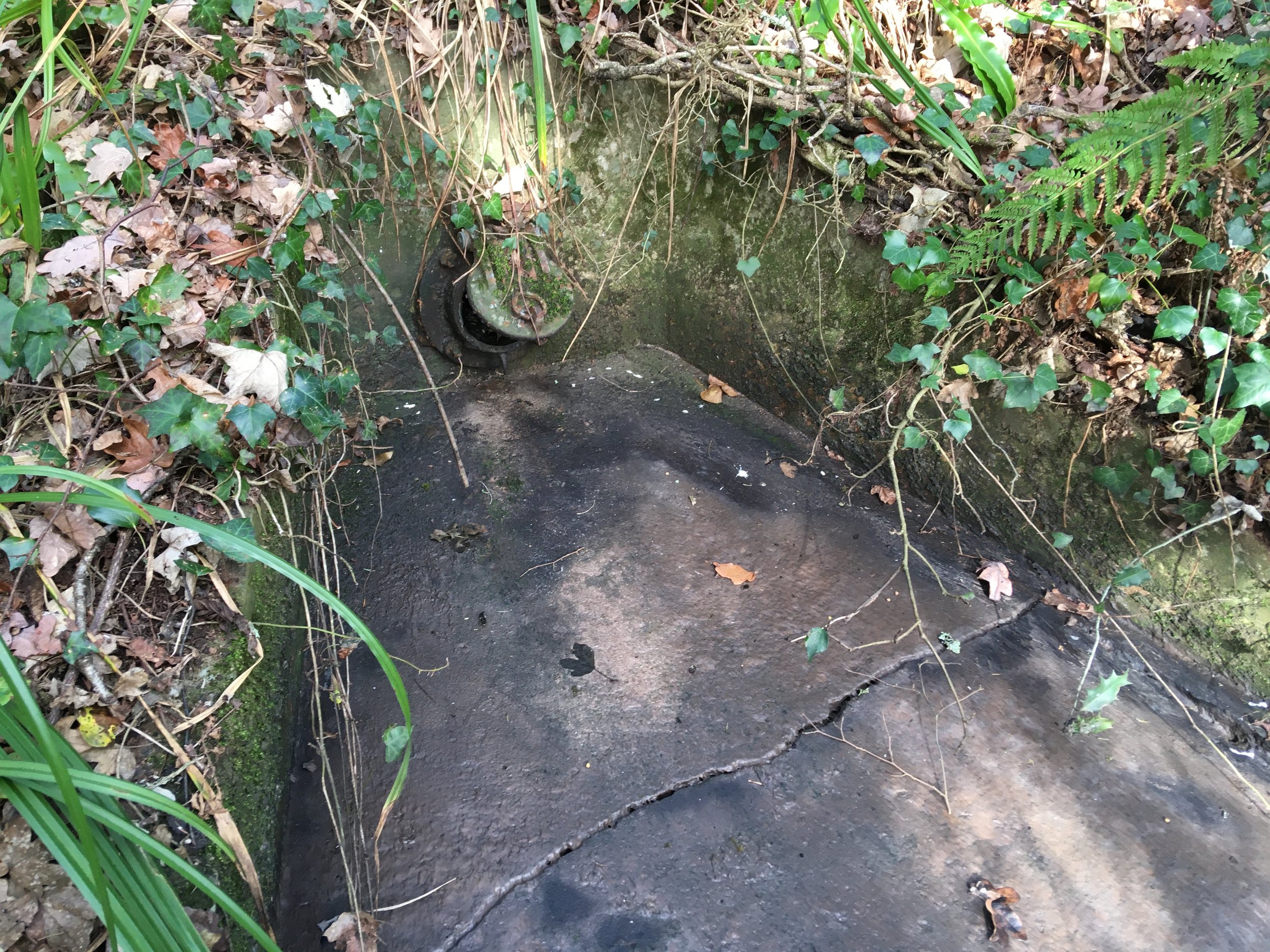 River Lim Action poo poo inaccurate sewage data