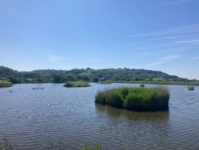 TLG Walk - 'Seaton Wetlands'