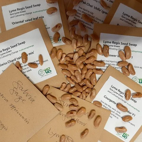 SEED SAVING WORKSHOP