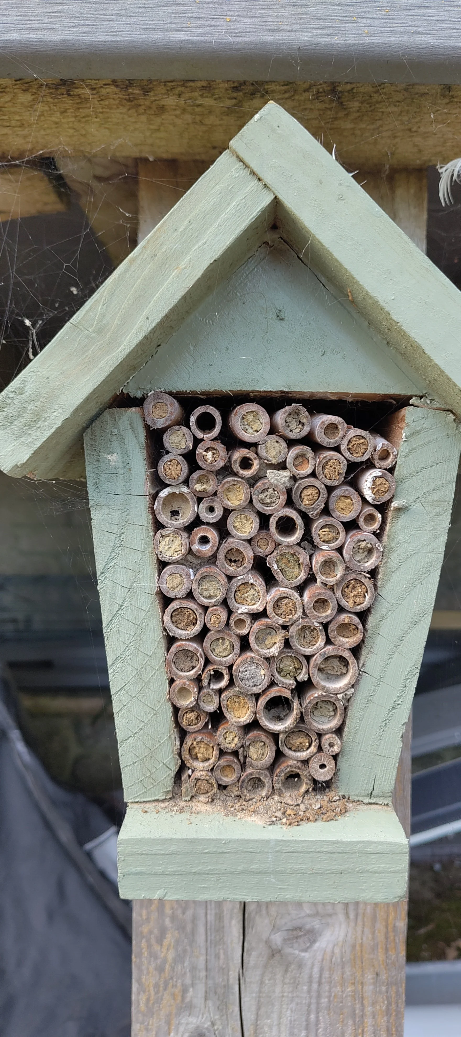 Air bee&amp;bee