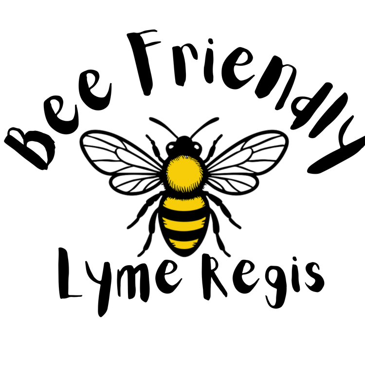 Build a Bee Hotel
