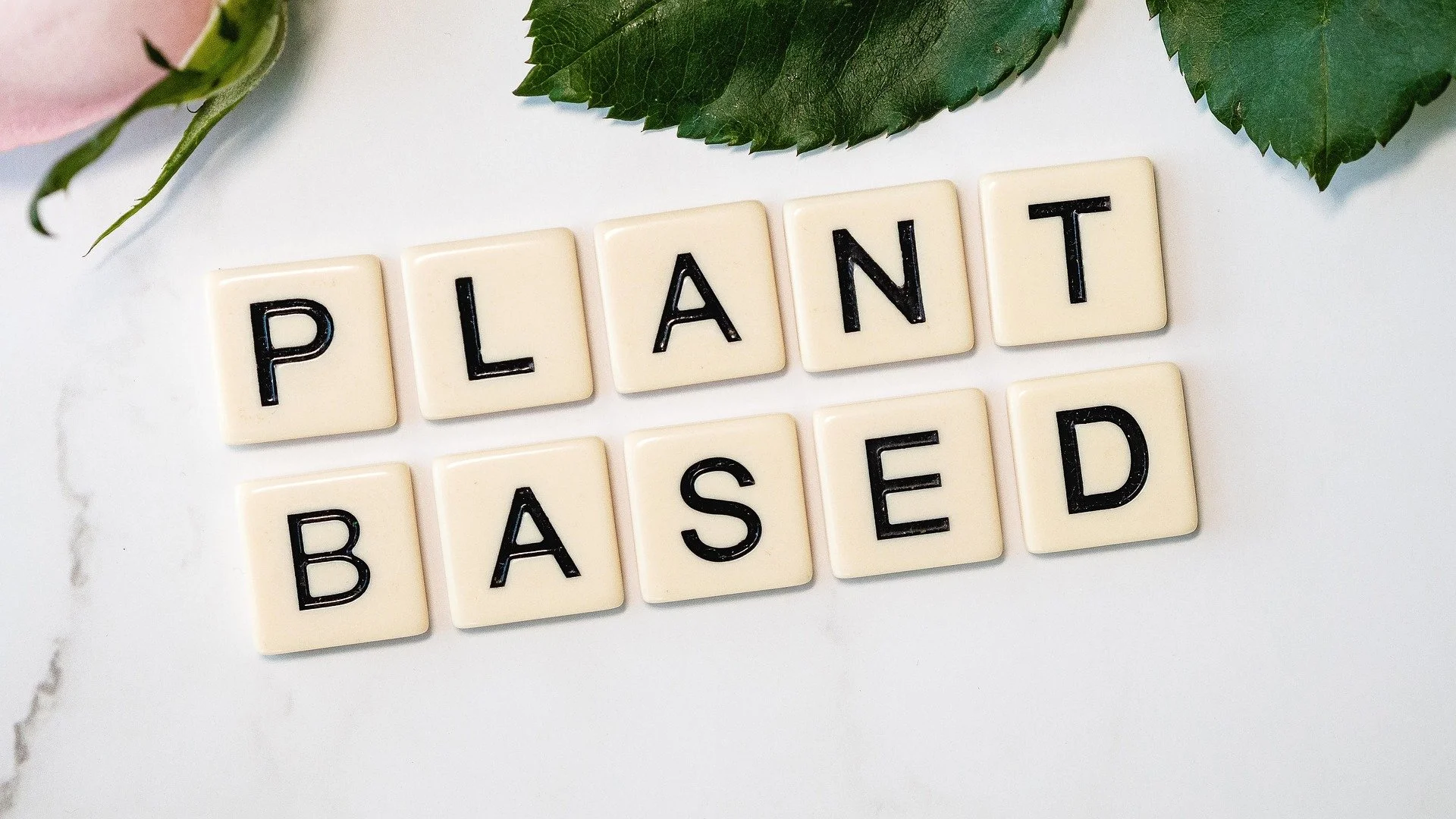 Plant Based Eating: small changes, big impact