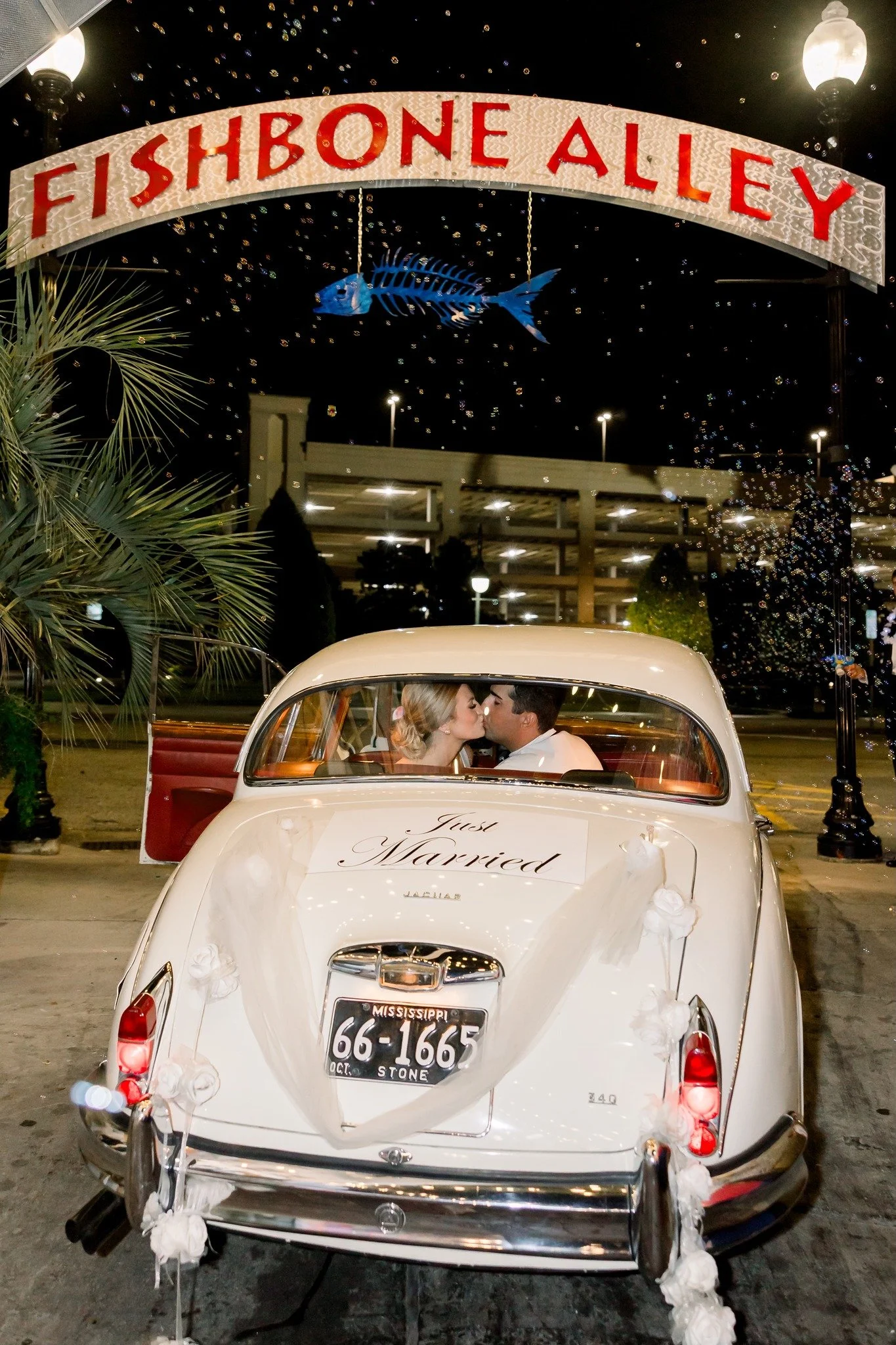 Canvas Collective Photography