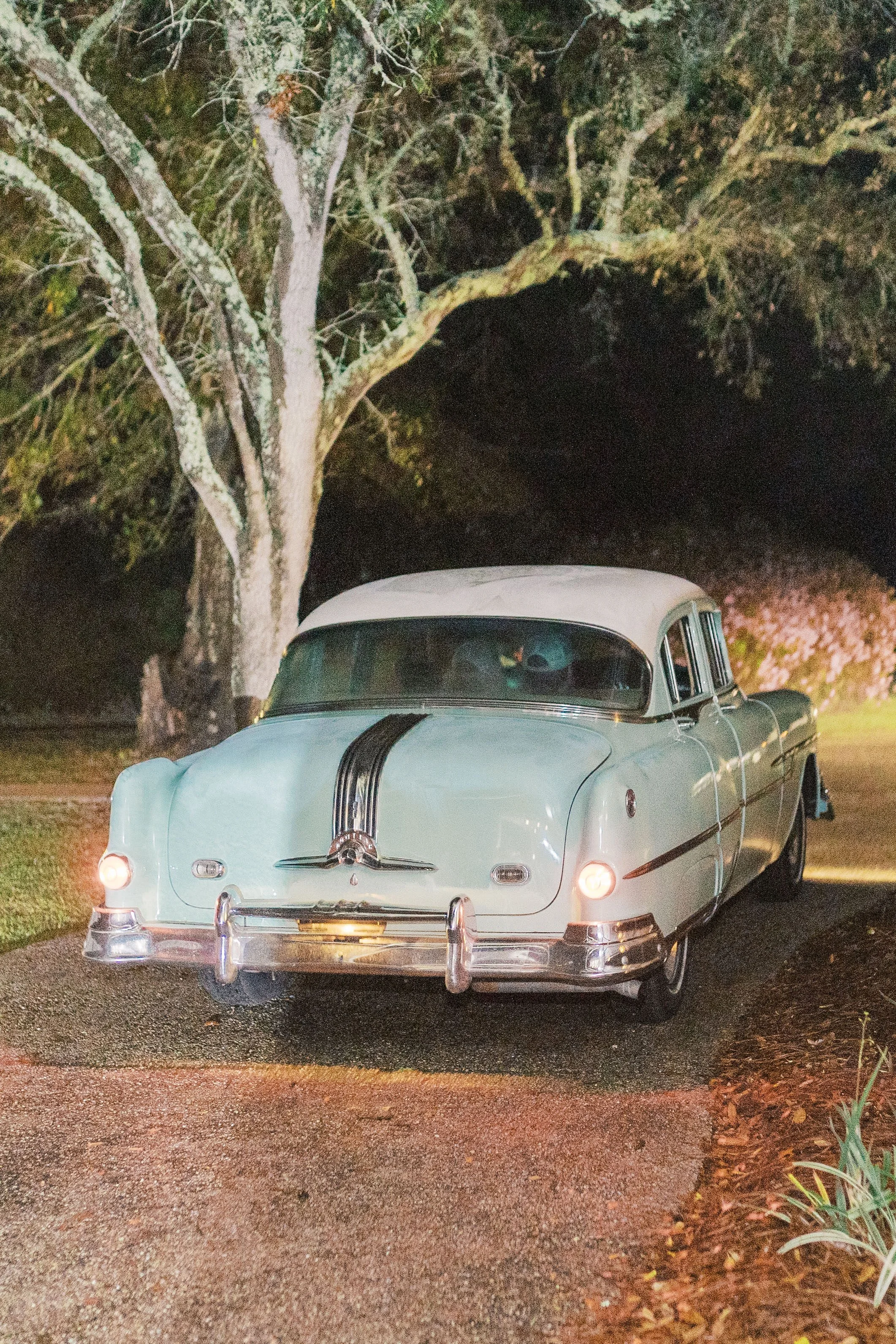 Annie Elise Photography