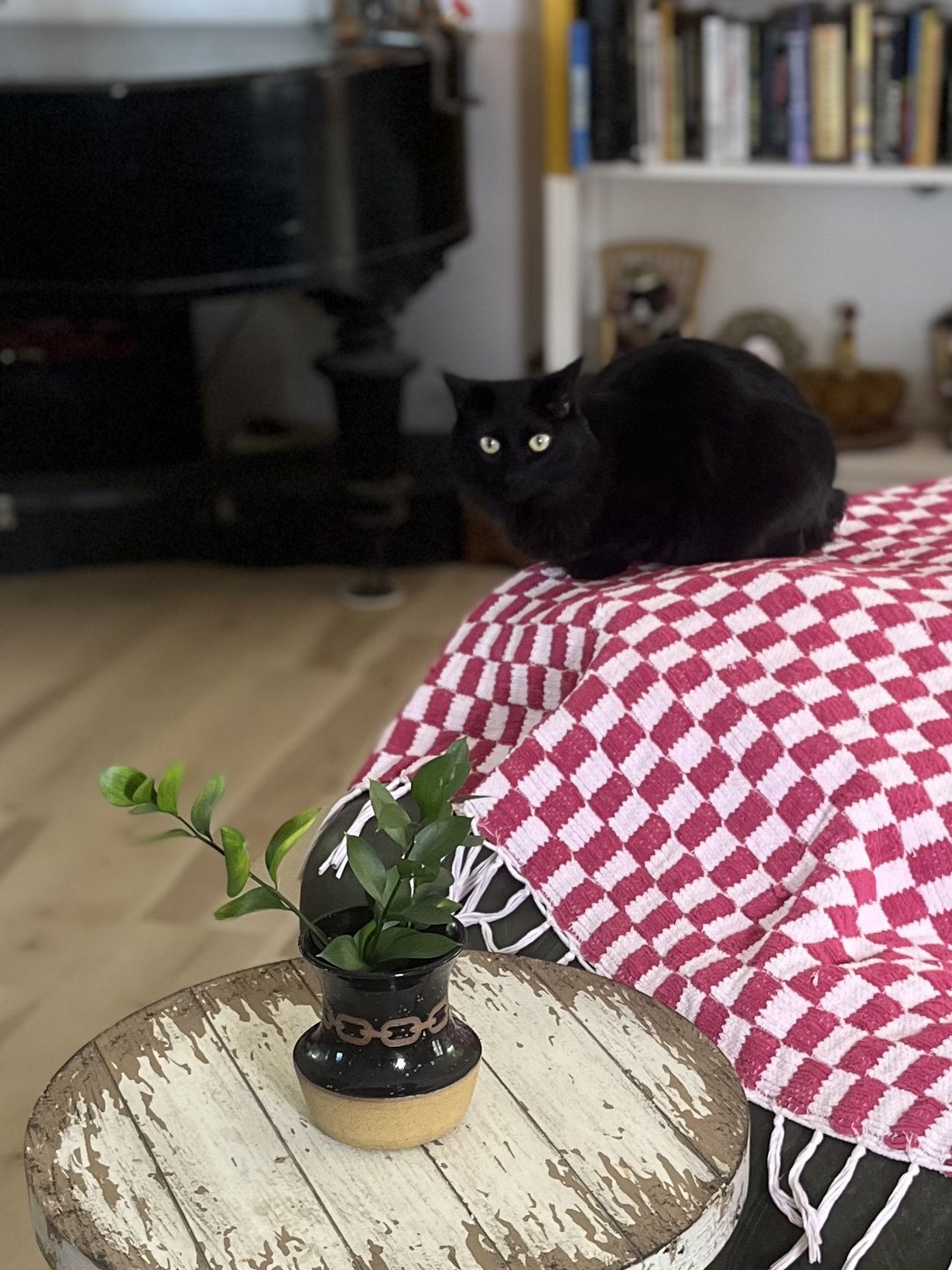 IMG_6180.jpeg