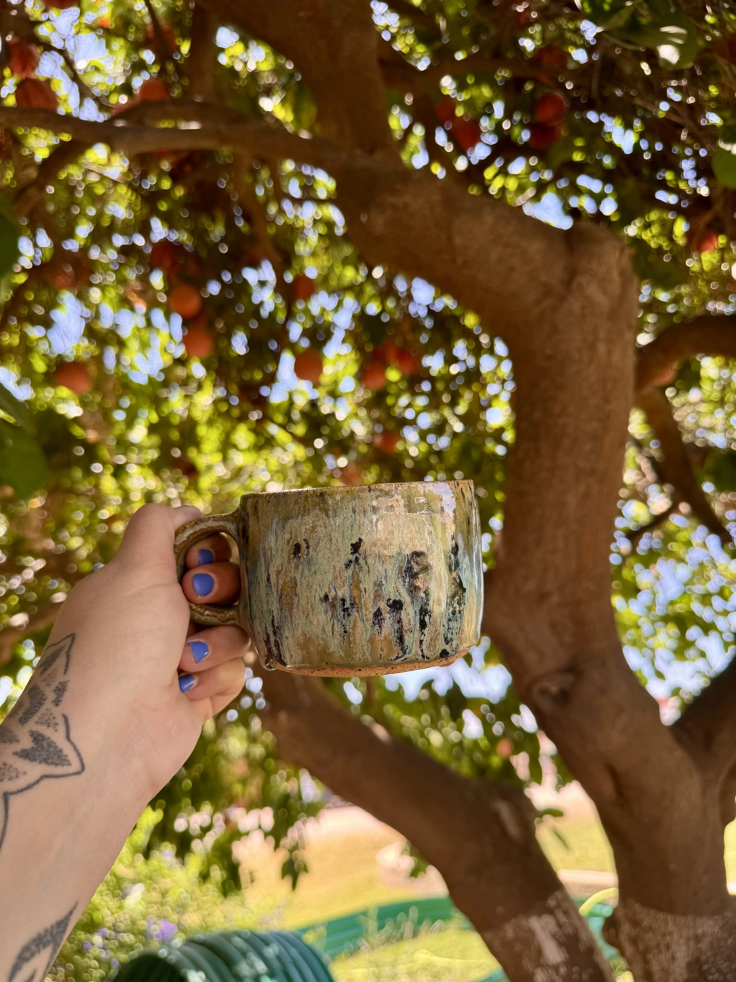 IMG_2837.jpeg