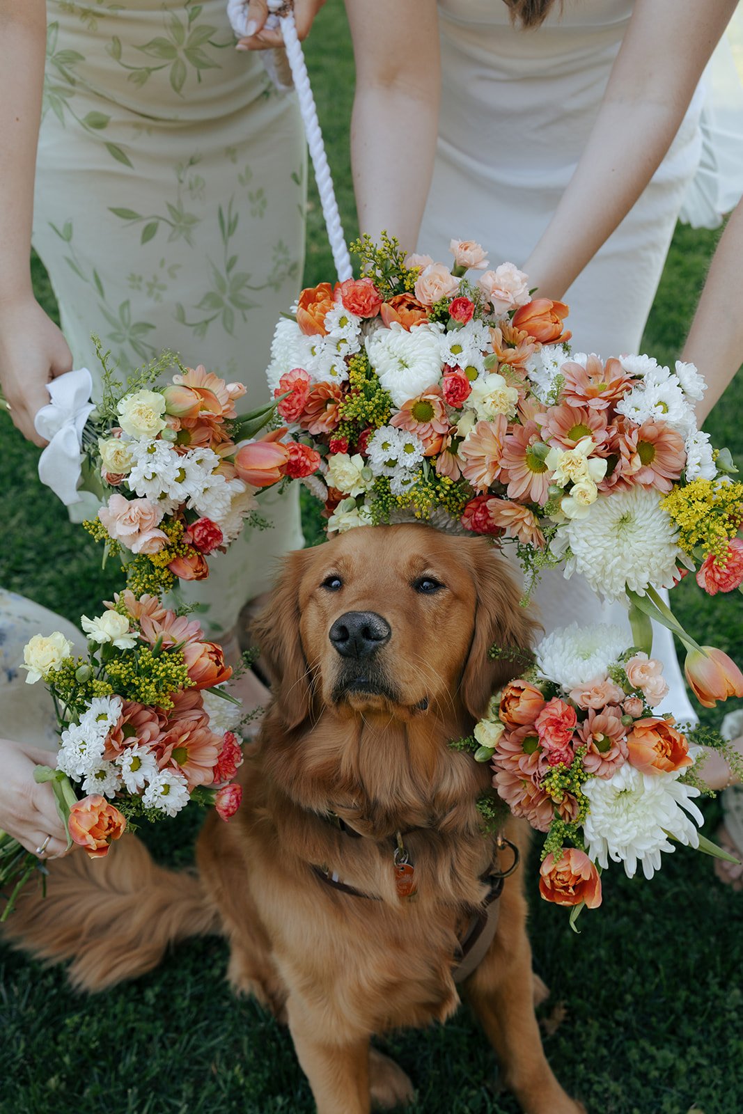Bridget-Matt-Blue-Hill-Farm-Pet-Friendly-Wedding-Airbnb01.jpg