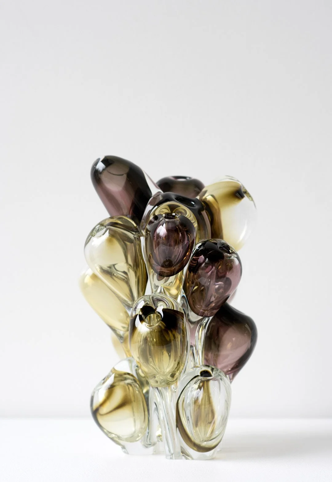 SkLO_Bloom_SC381OLP_1080.jpg