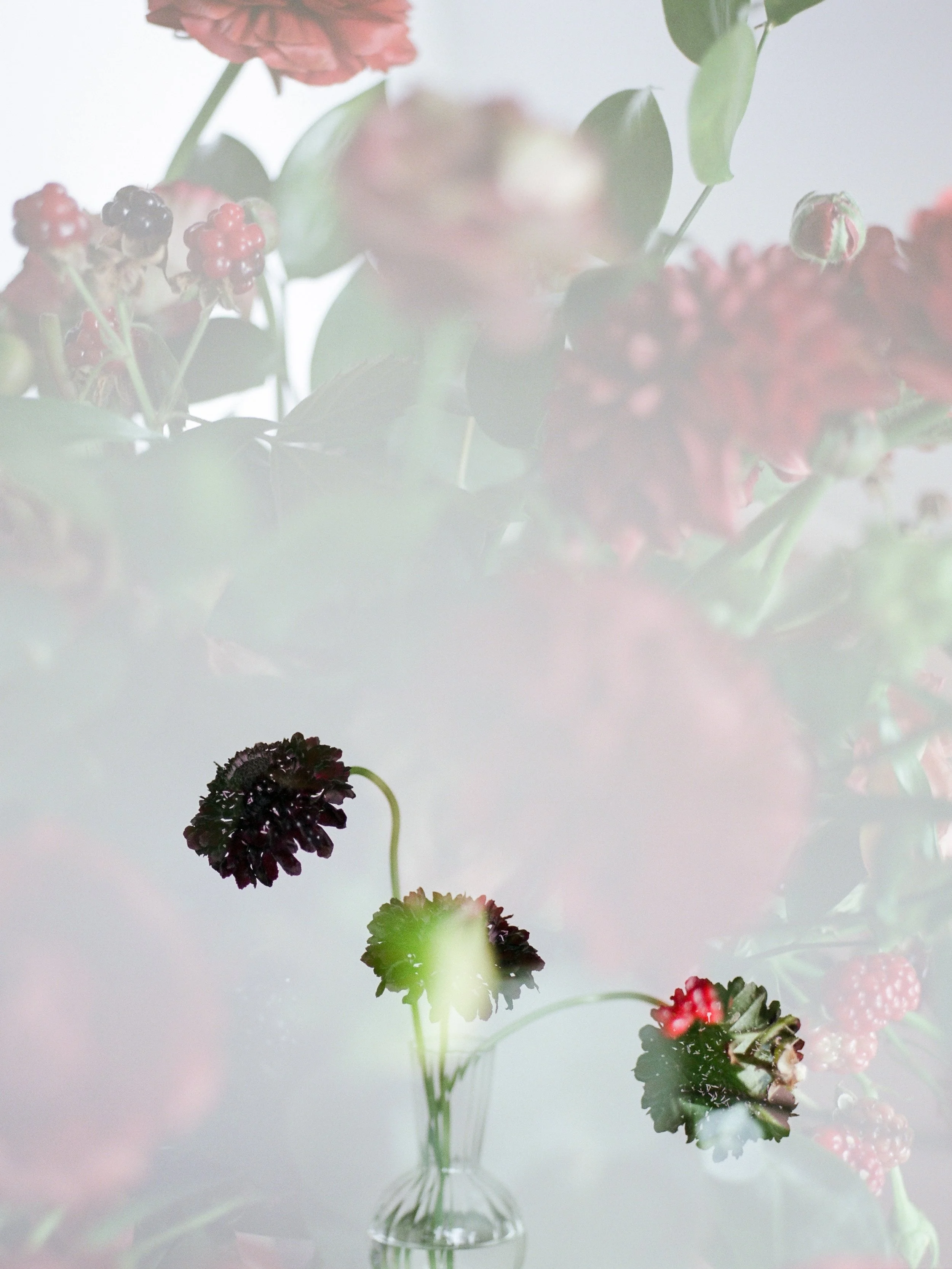 blackwood styled shoot-25.jpg