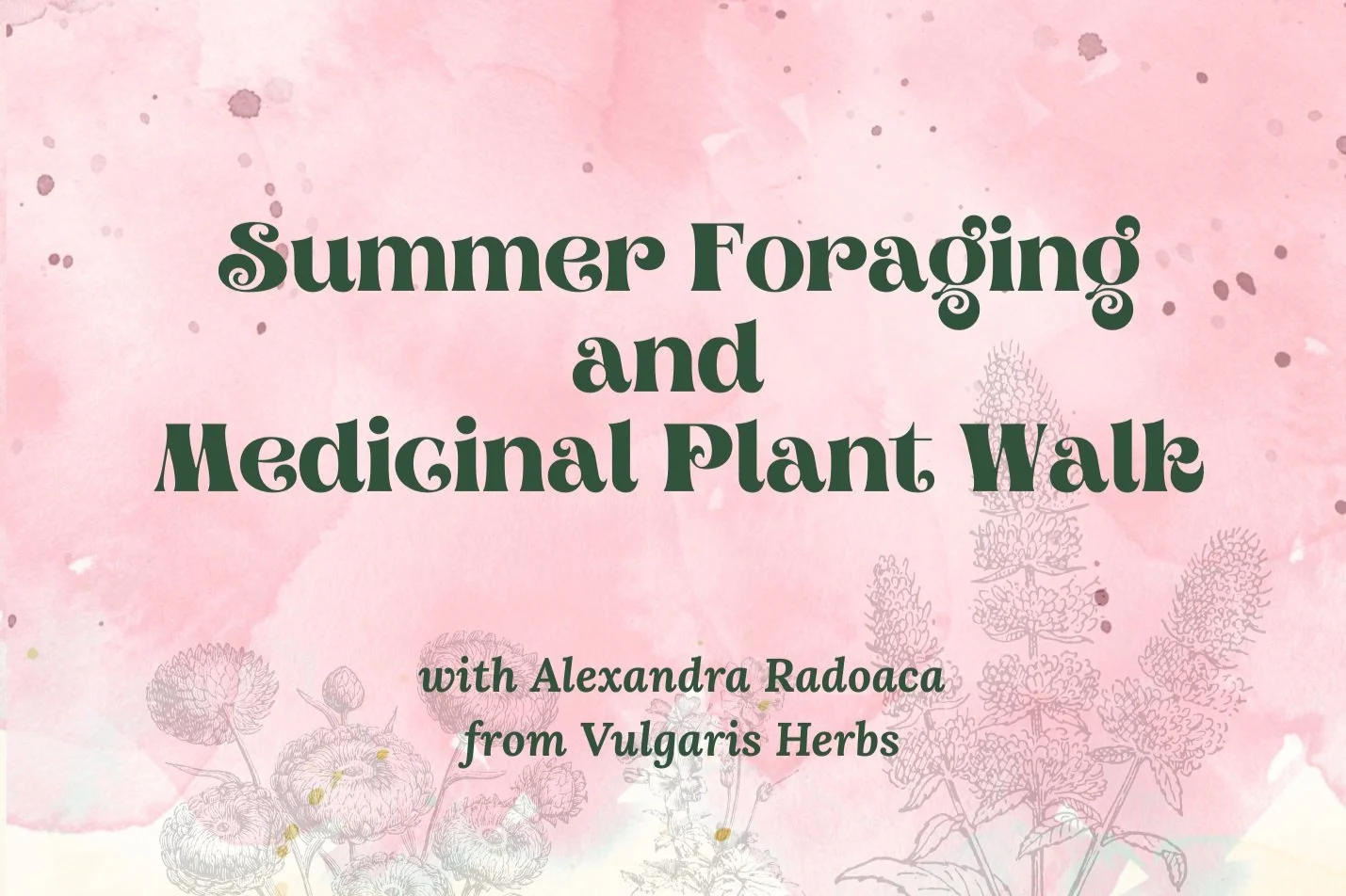 Summer Foraging and Medicinal Plant Walk at Goshen Green Farm