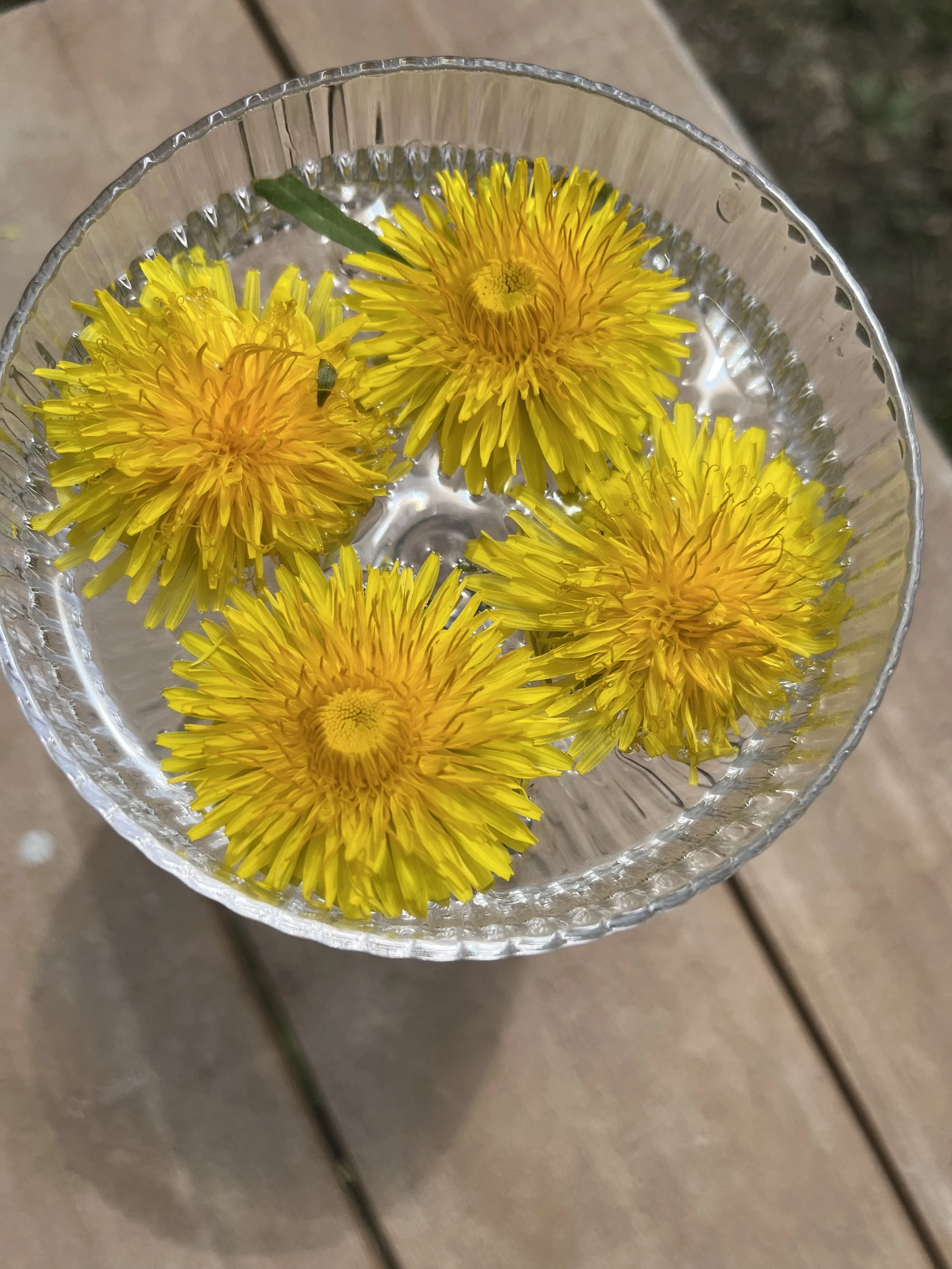 Flower Essences: Tools for Clarity and Care with Amy White Eyes, $45