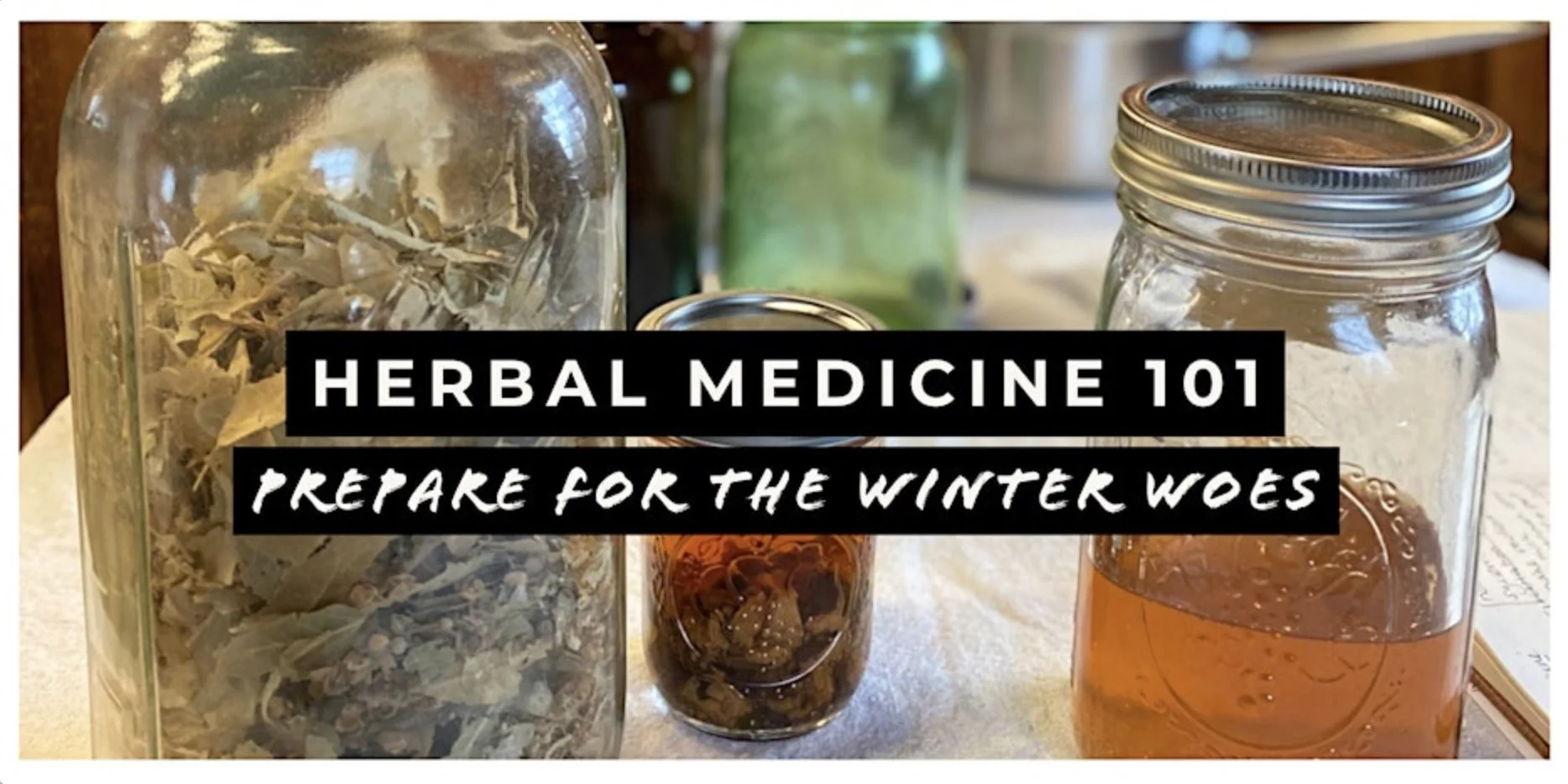 Herbal Medicine 101: Prepare for the Winter Woes