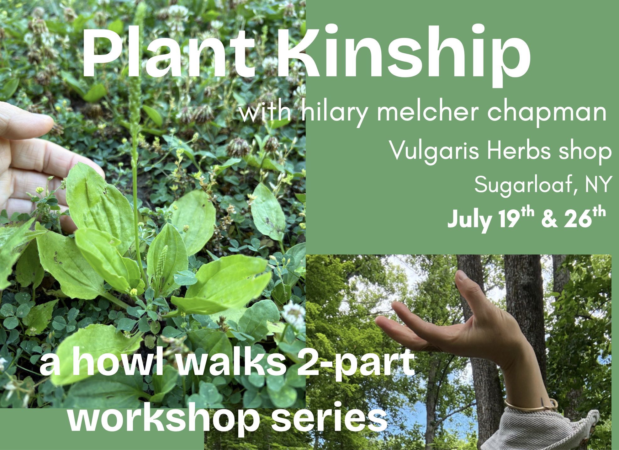 Plant Kinship Series with Hilary Chapman