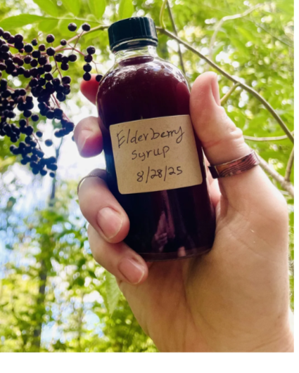 Herbal Decoctions and Syrups, $45