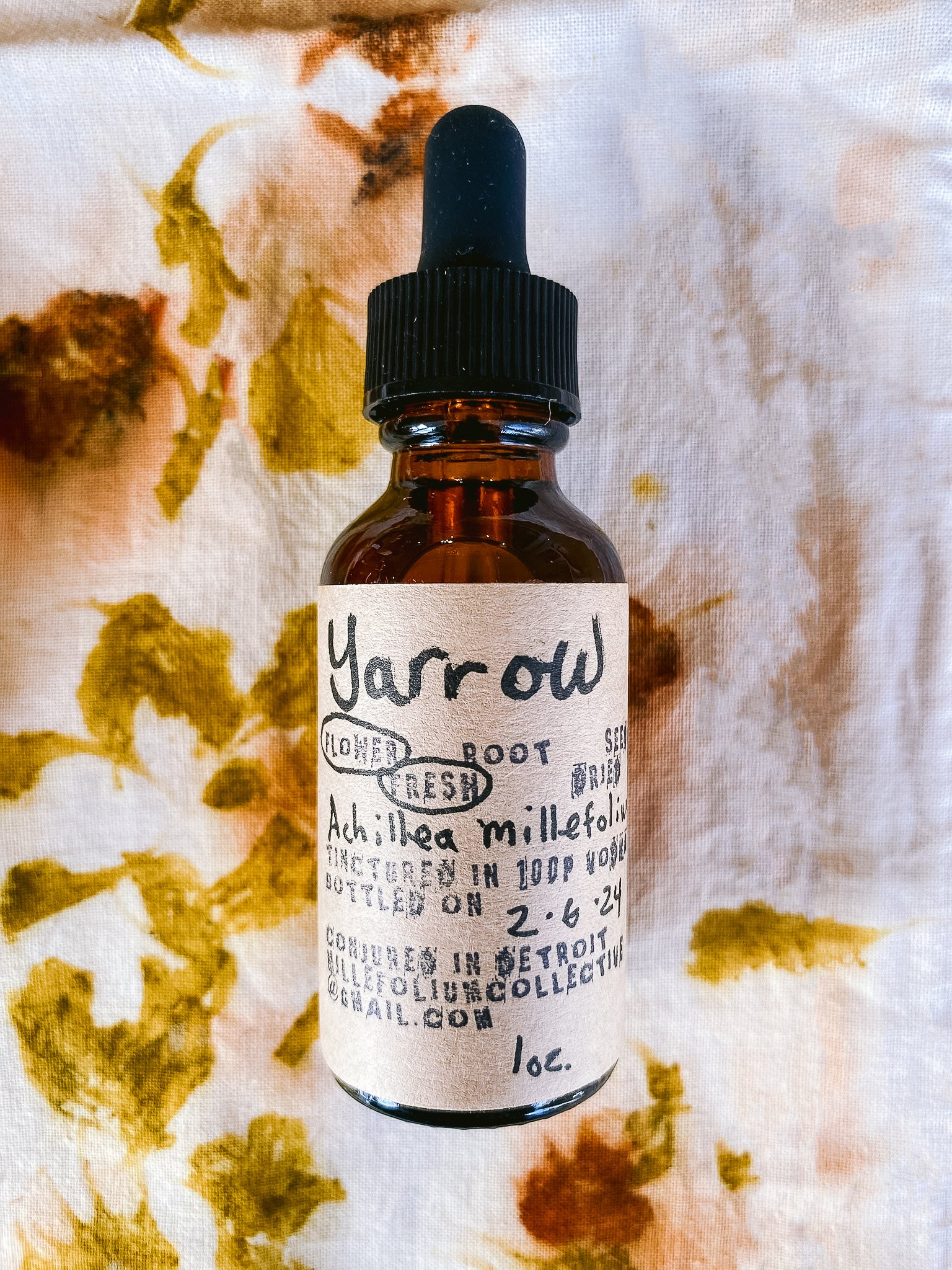 019_Yarrow.jpg