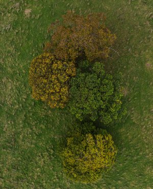 The four Seasons