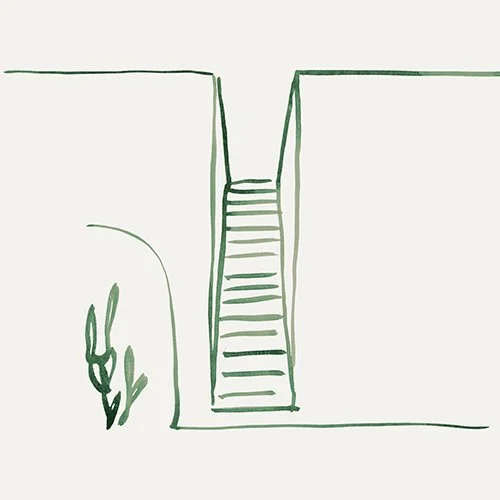 A simple line drawing of a staircase leading down between two walls, with a plant on the left side.