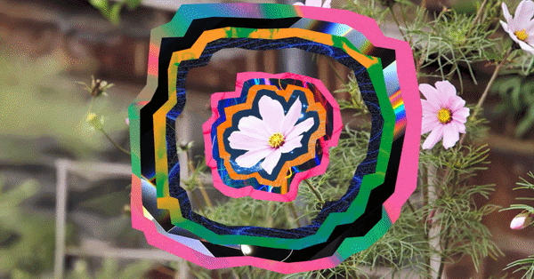 gif zooming closer to a pink flower while graphic digital paper cut outlines burst outwards and grow in a colourful hypnotic collage animation