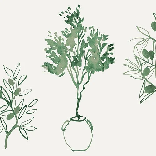 Illustration of green leafy plants in vases on a light background.
