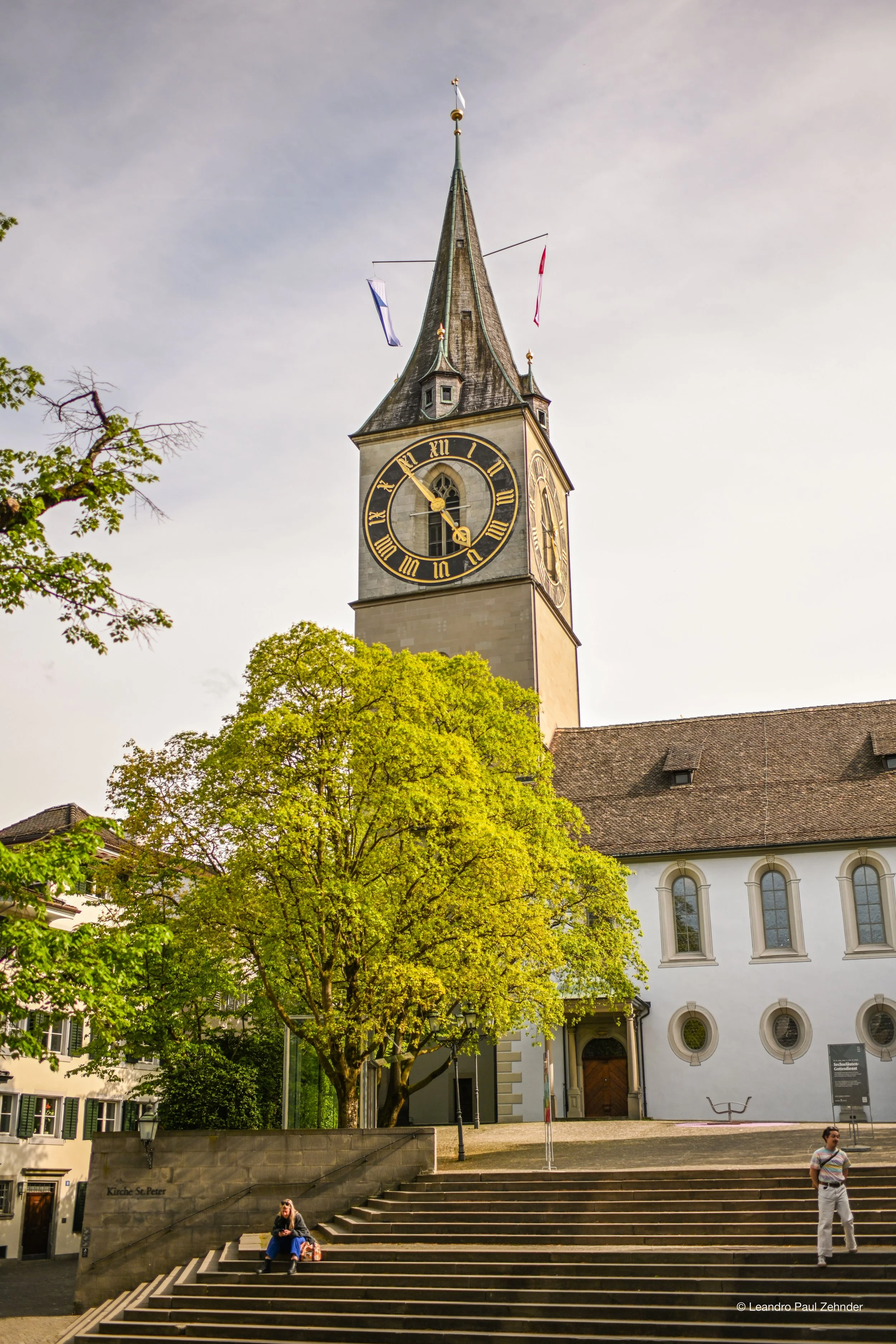 DSC_3275.jpg