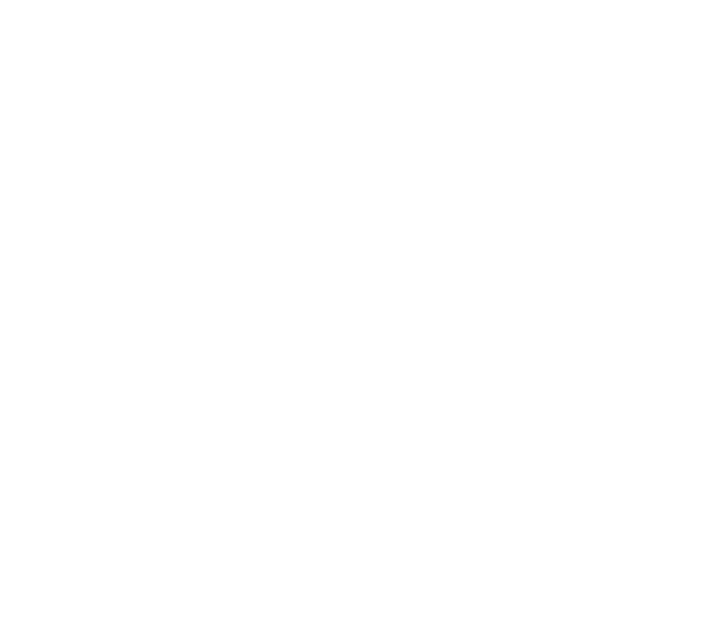 Lee-King Wellness